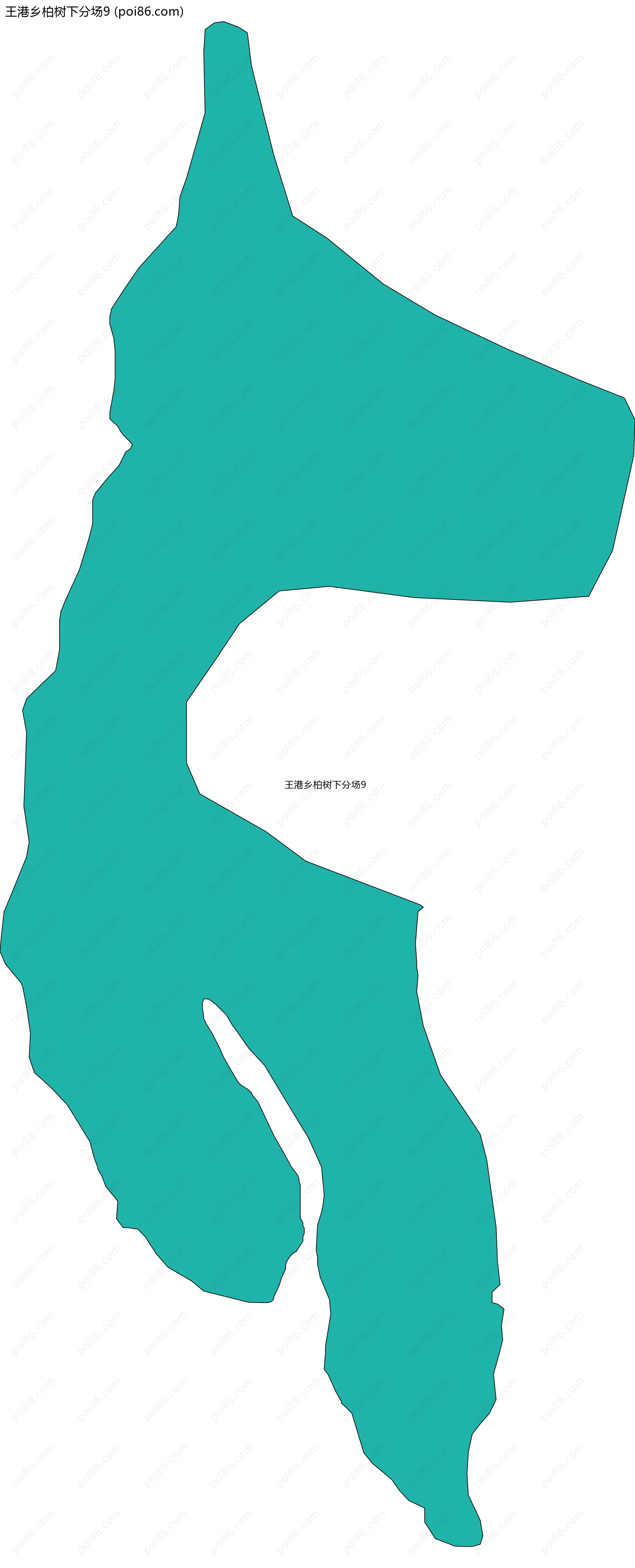 王港乡柏树下分场9边界地图