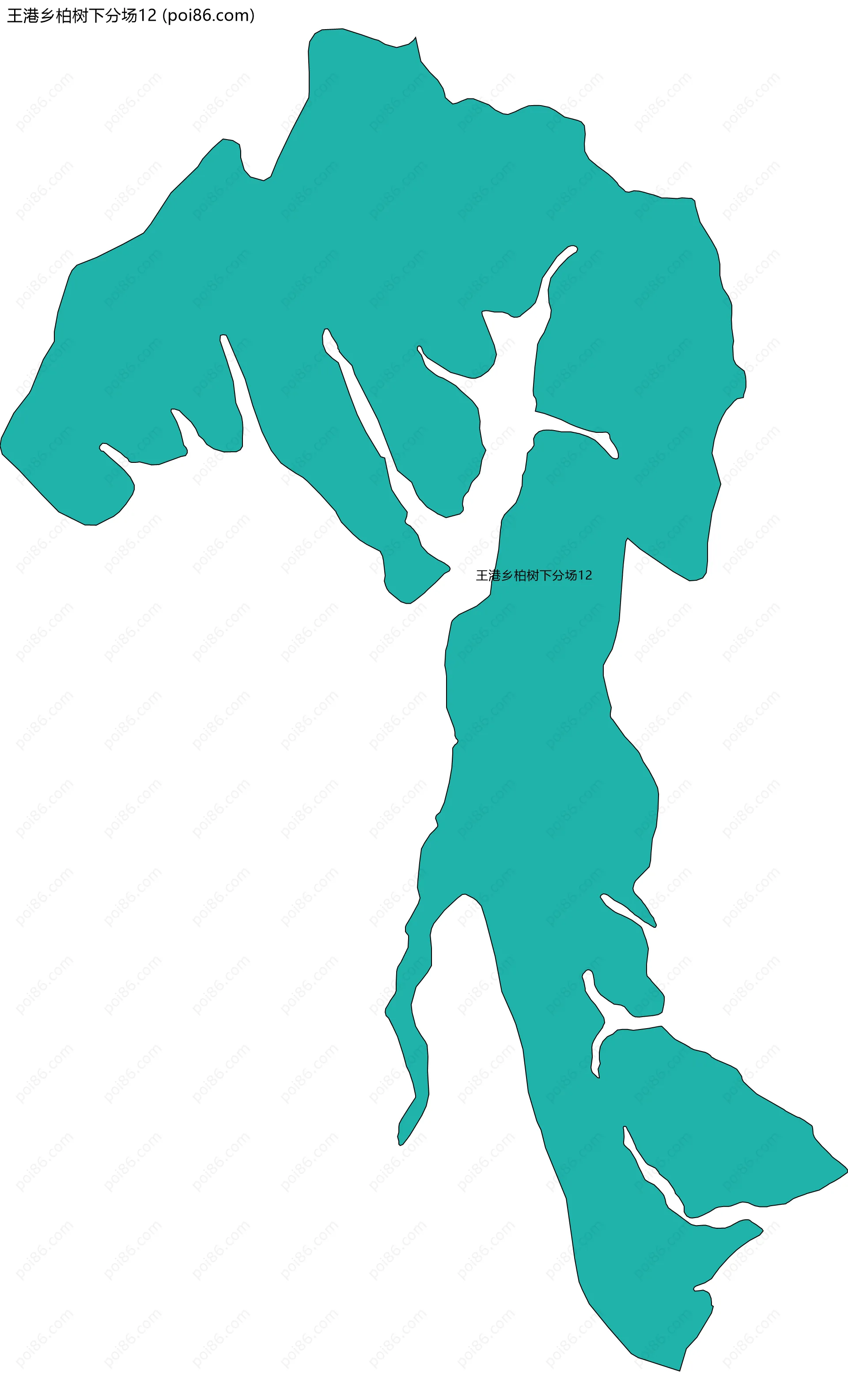 王港乡柏树下分场12边界地图