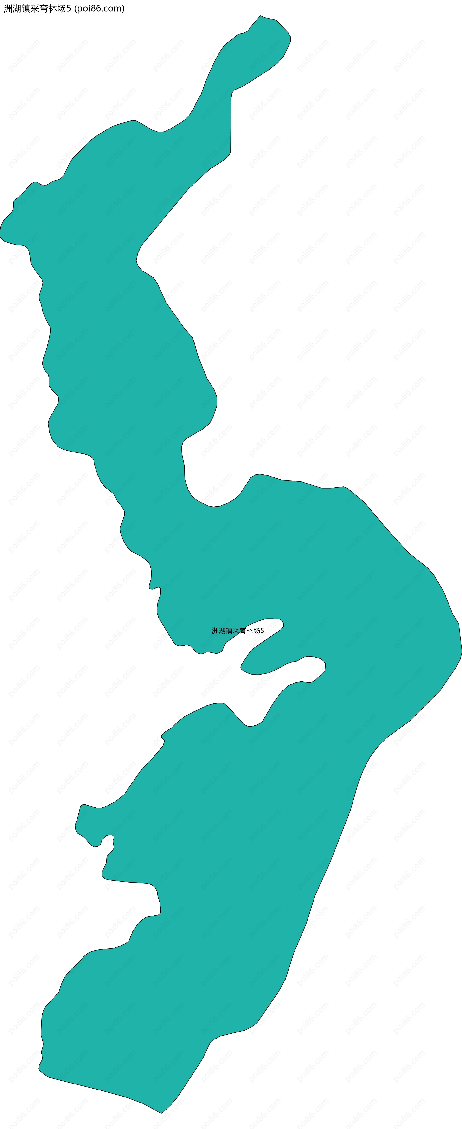 洲湖镇采育林场5边界地图