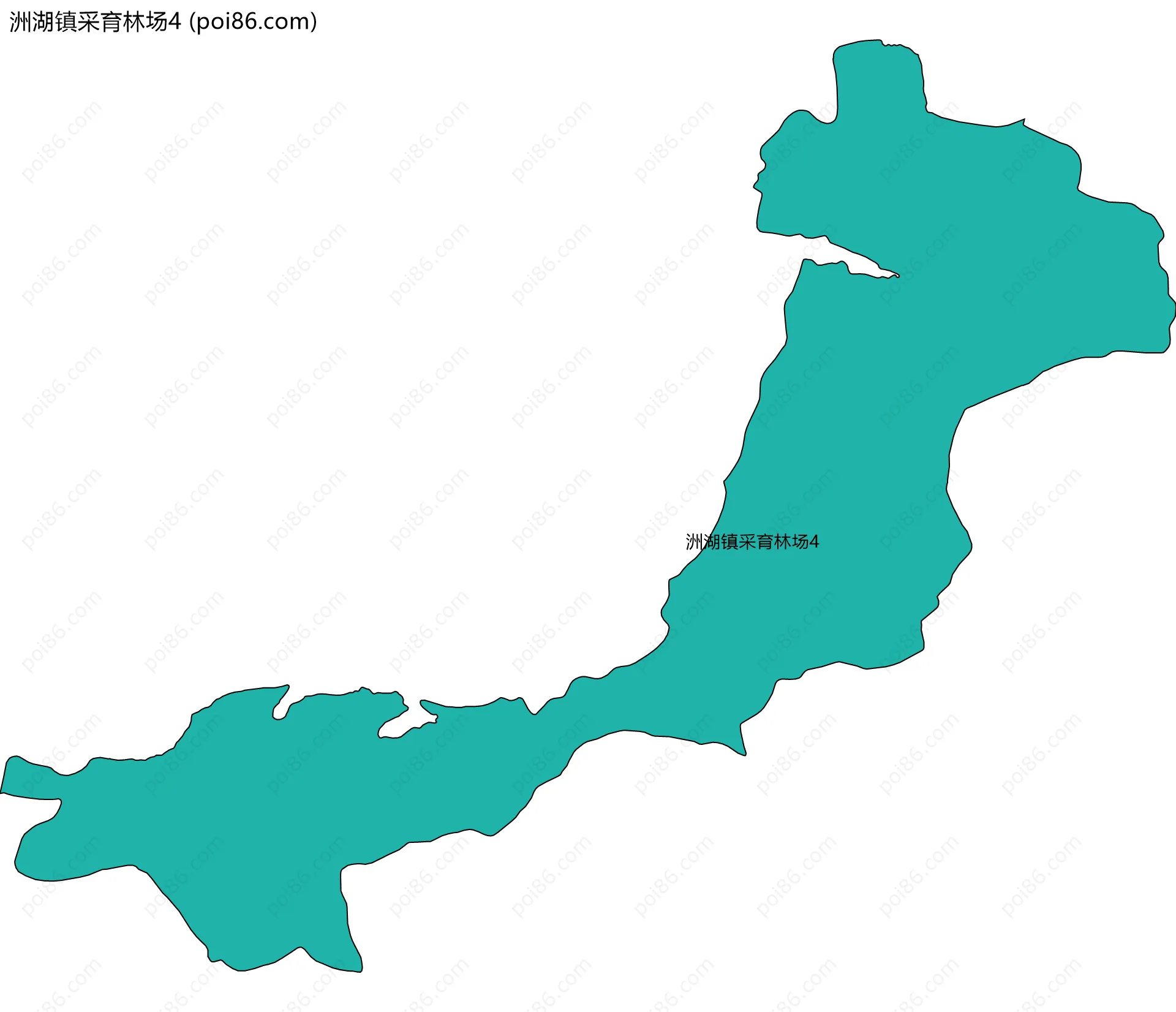 洲湖镇采育林场4边界地图