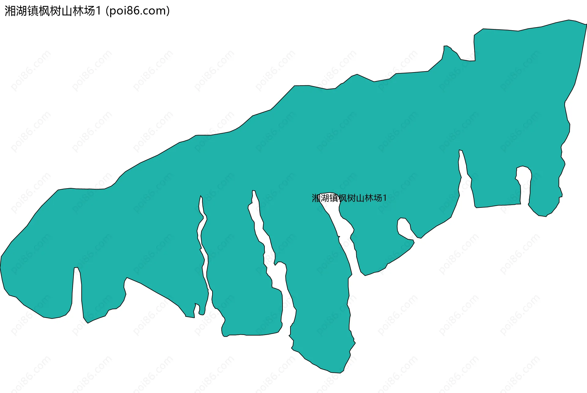 湘湖镇枫树山林场1边界地图