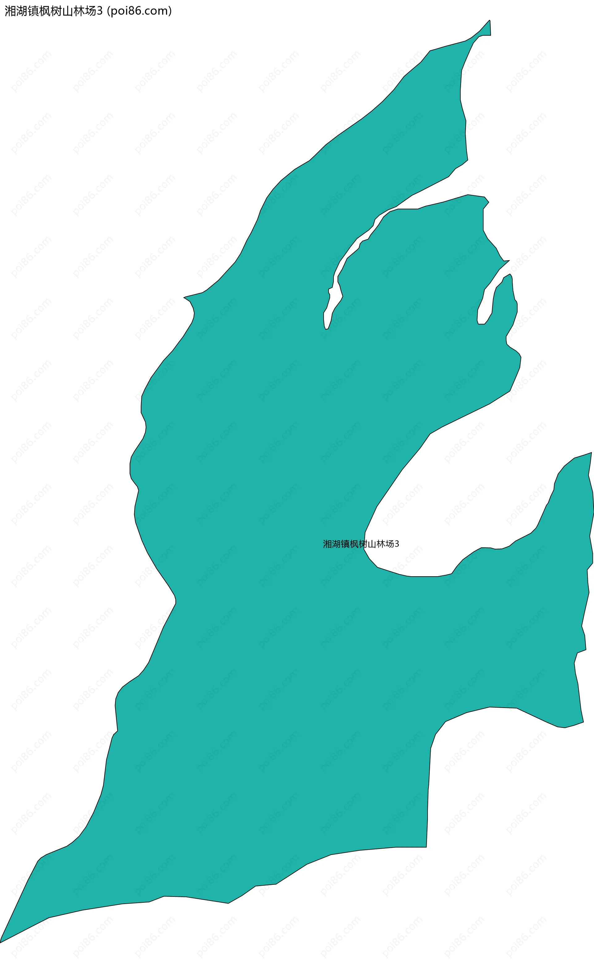 湘湖镇枫树山林场3边界地图