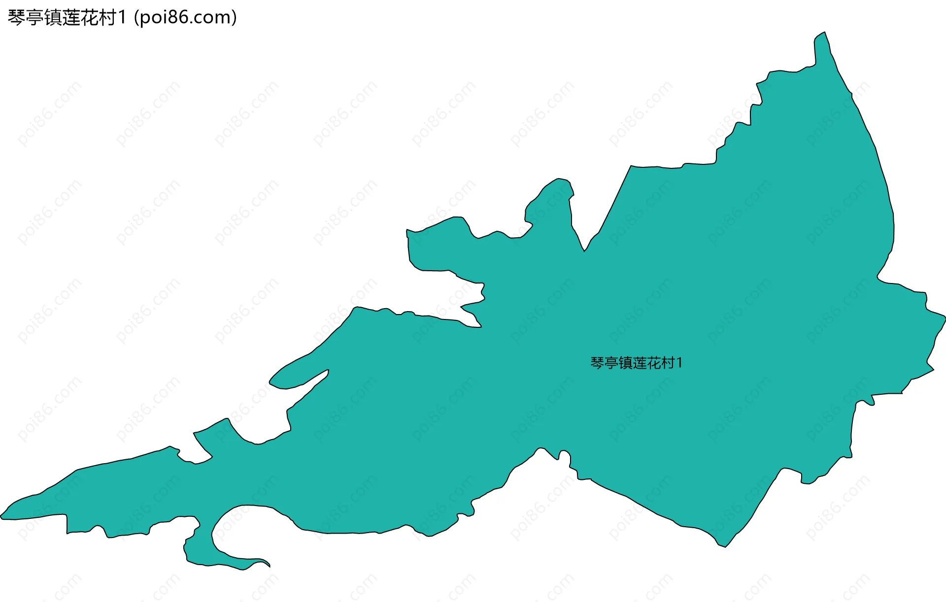 琴亭镇莲花村1边界地图