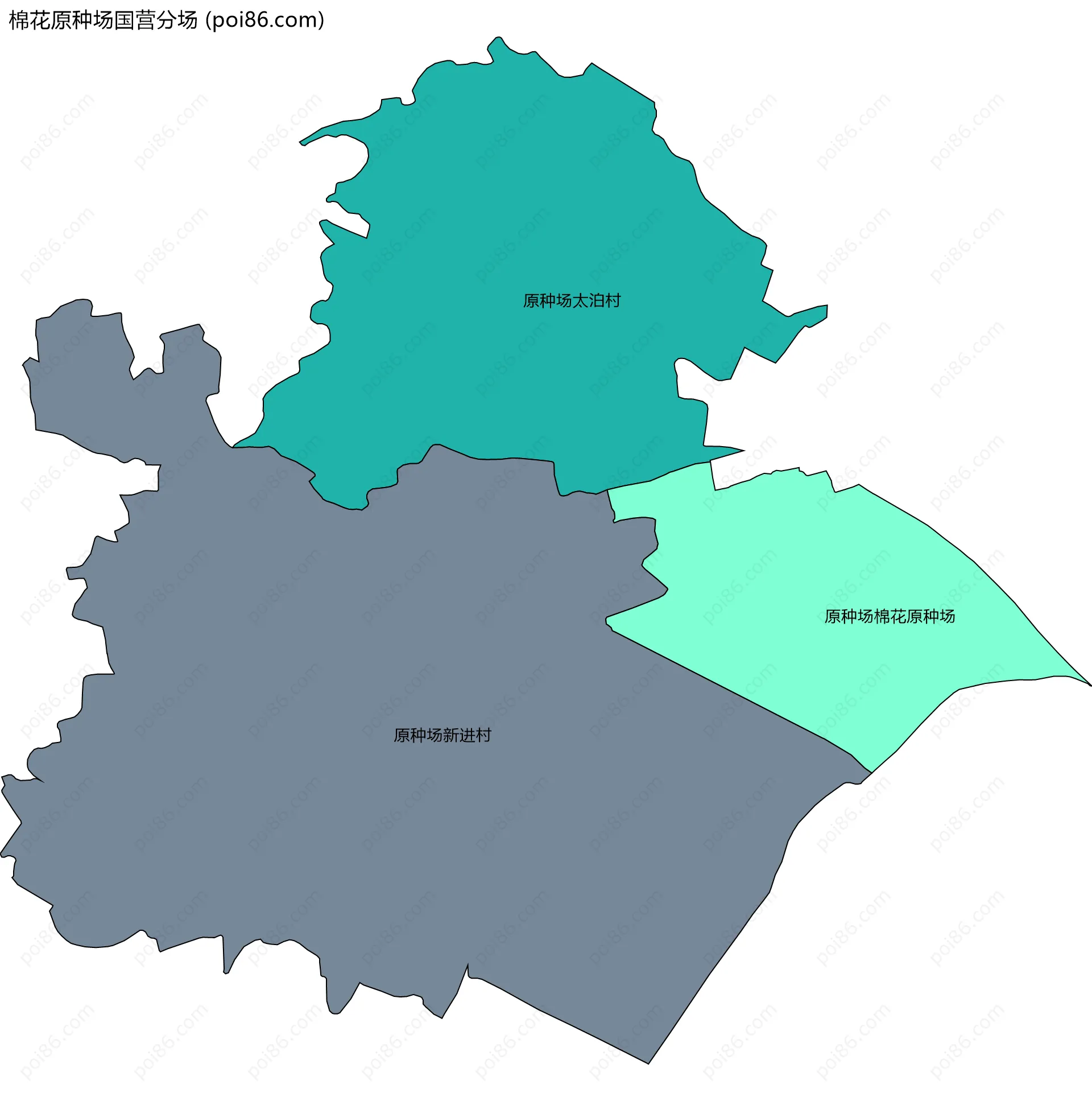 棉花原种场国营分场边界地图(五级行政区划)