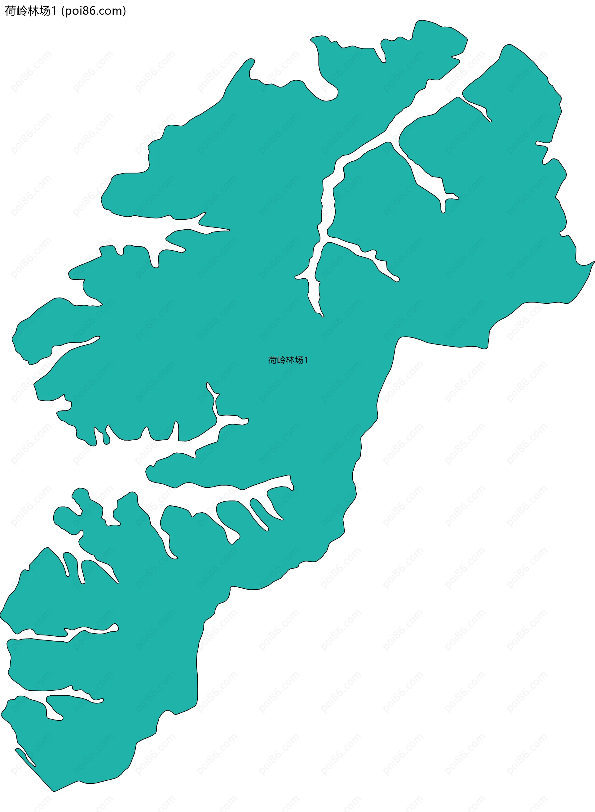 荷岭林场1边界地图