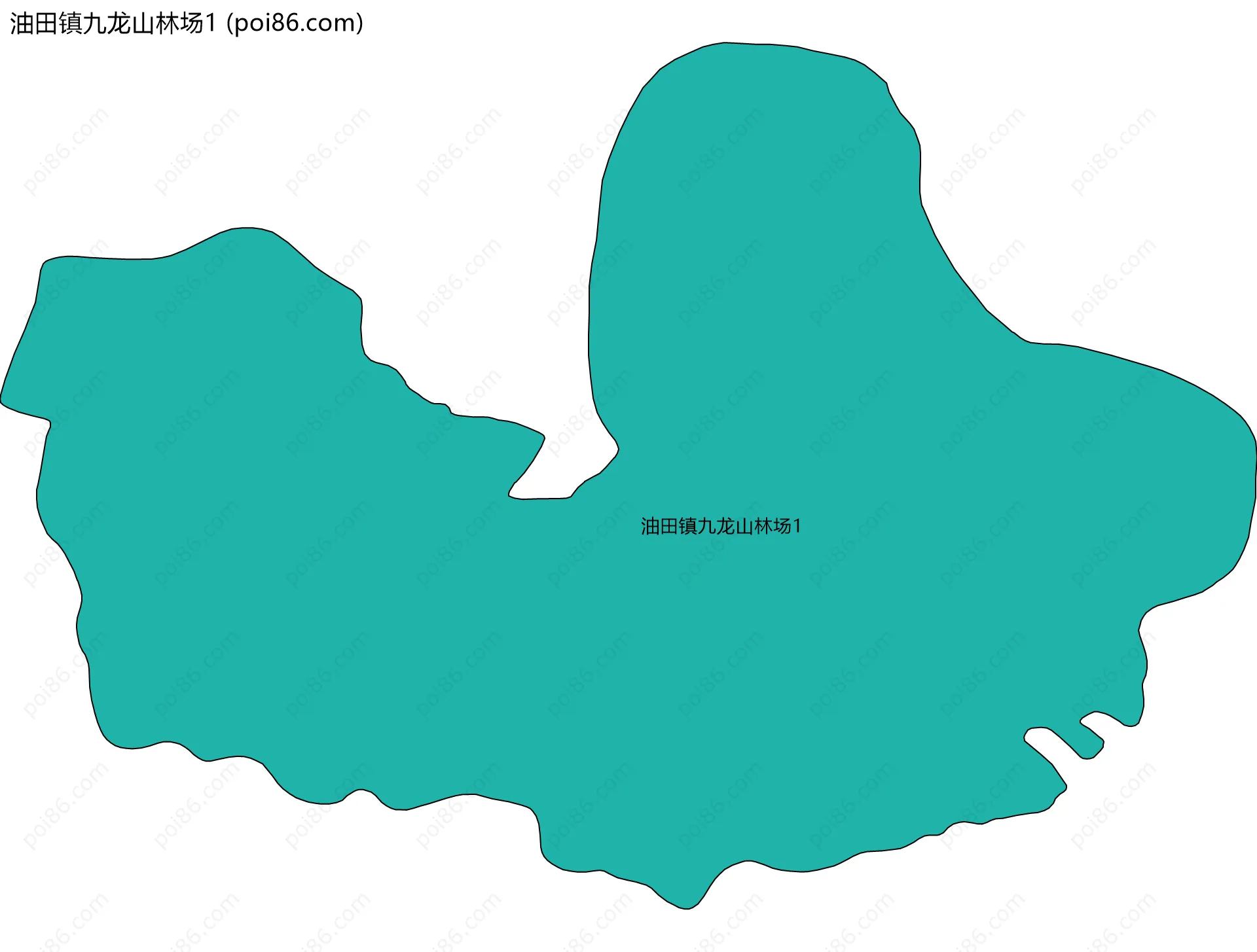 油田镇九龙山林场1边界地图