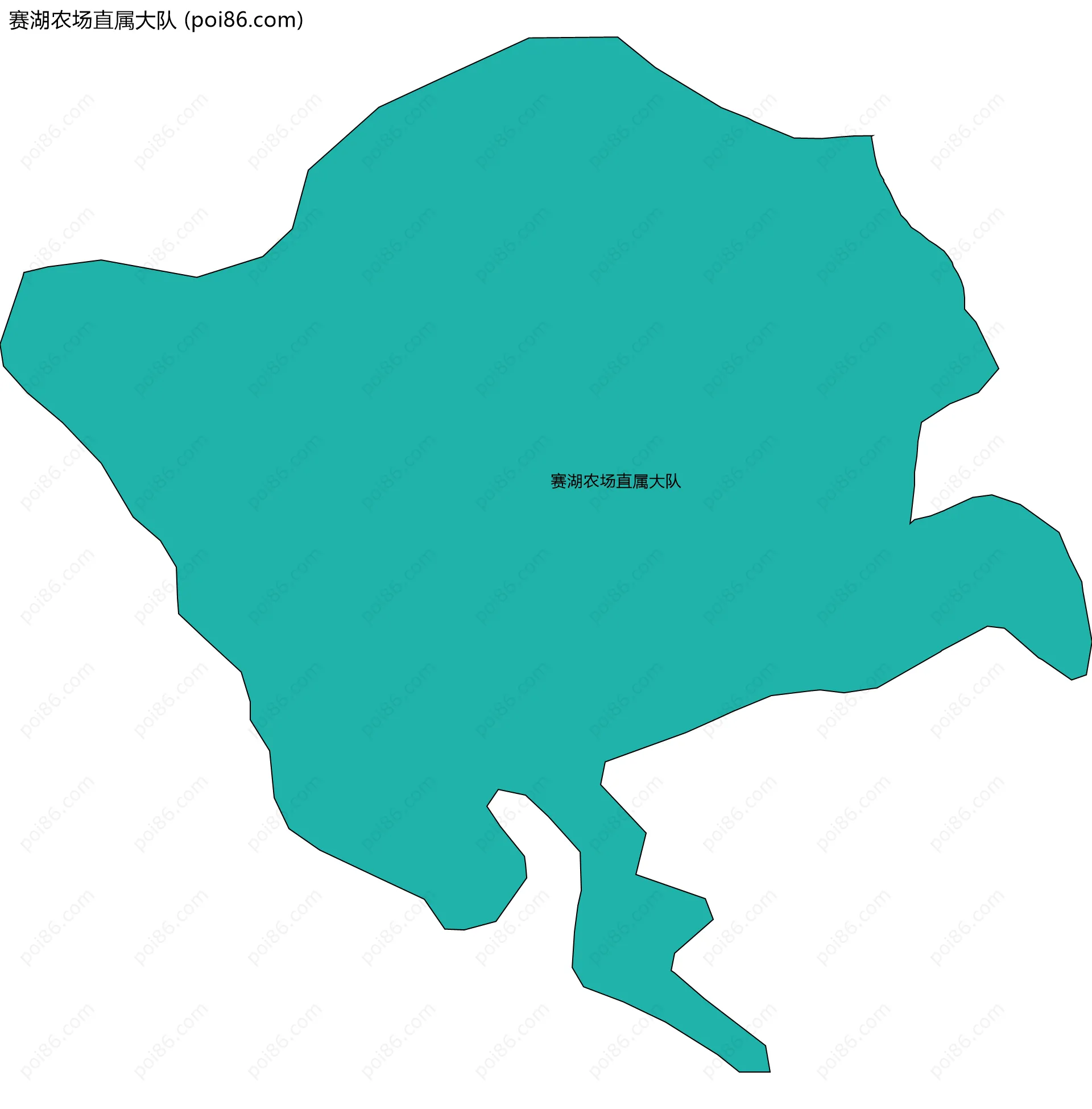 赛湖农场直属大队边界地图