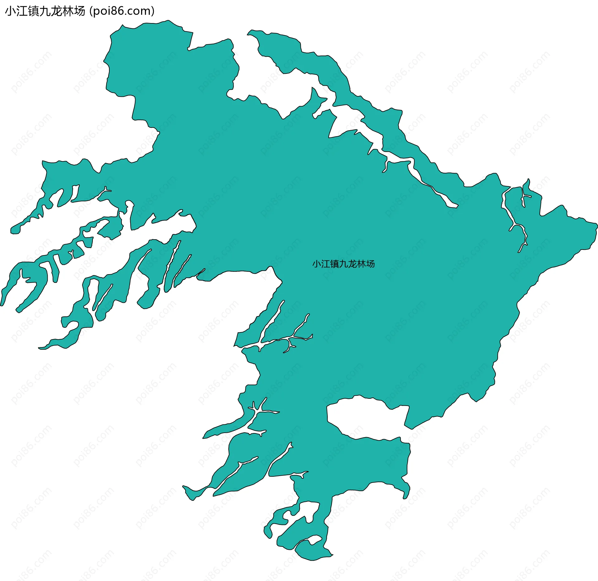 小江镇九龙林场边界地图