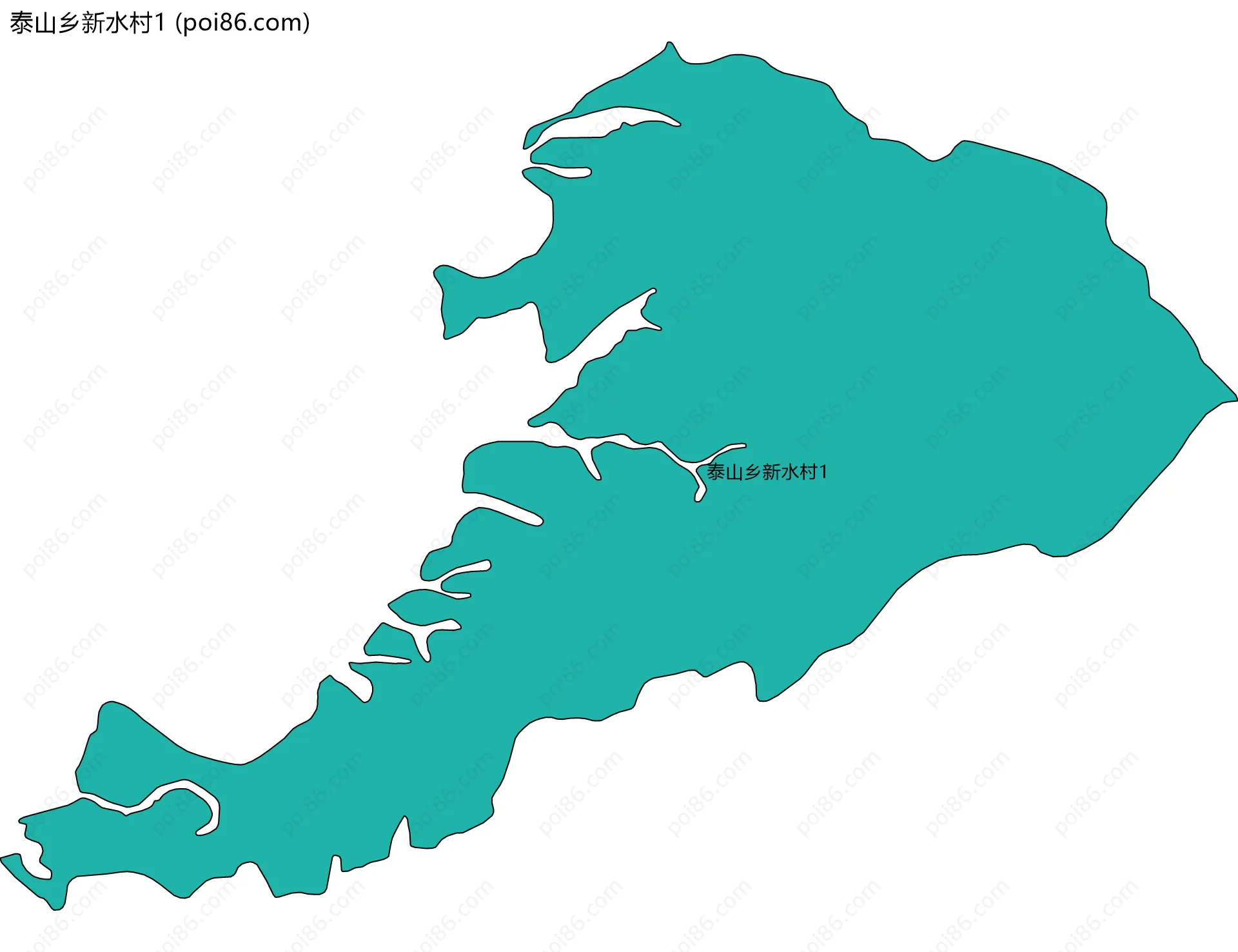 泰山乡新水村1边界地图