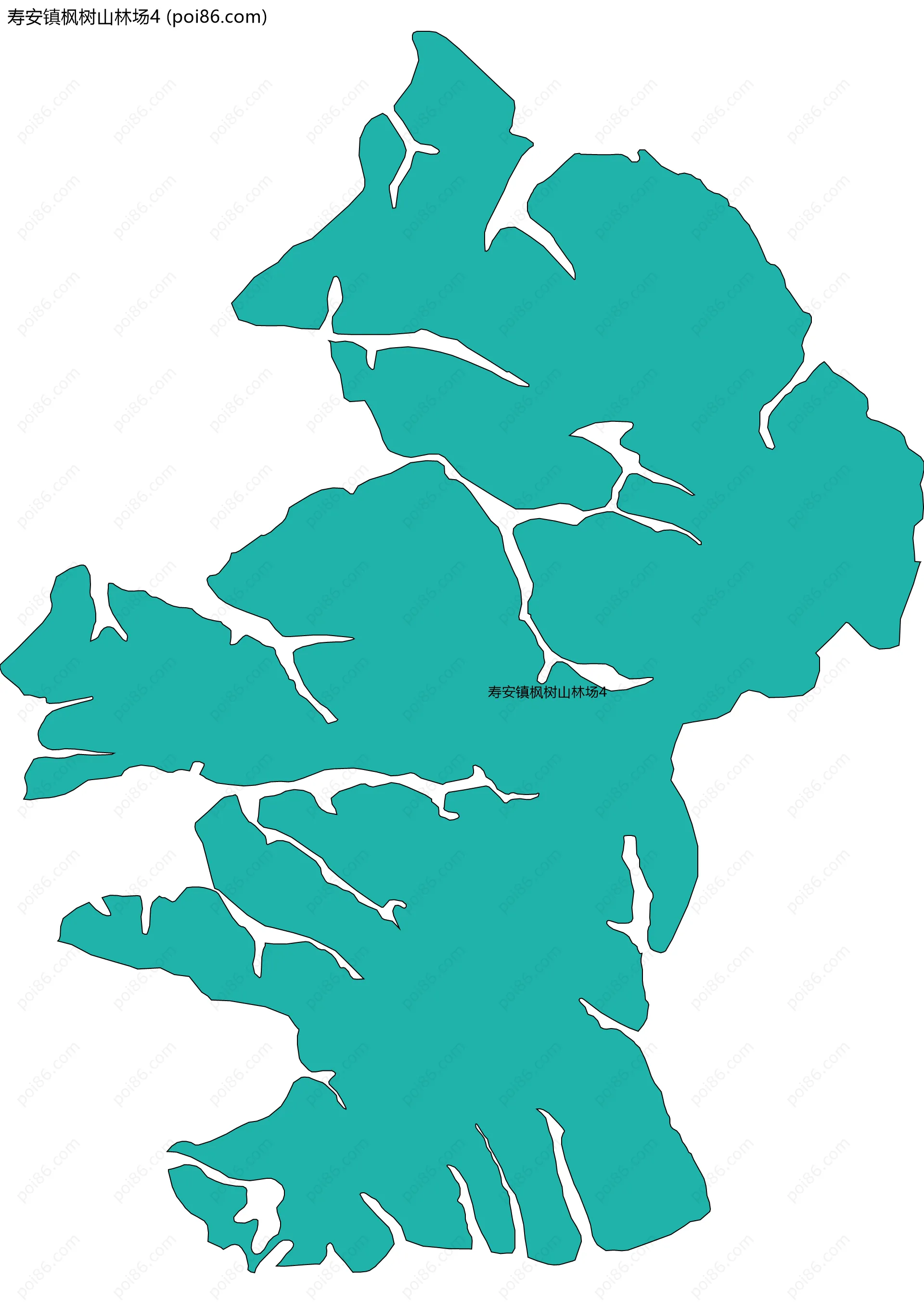 寿安镇枫树山林场4边界地图