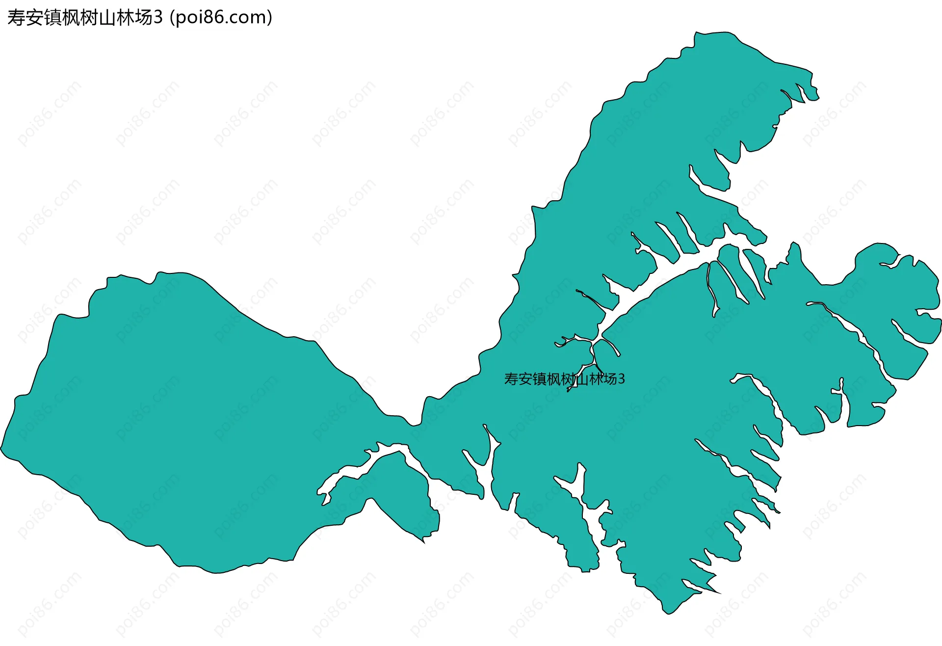 寿安镇枫树山林场3边界地图