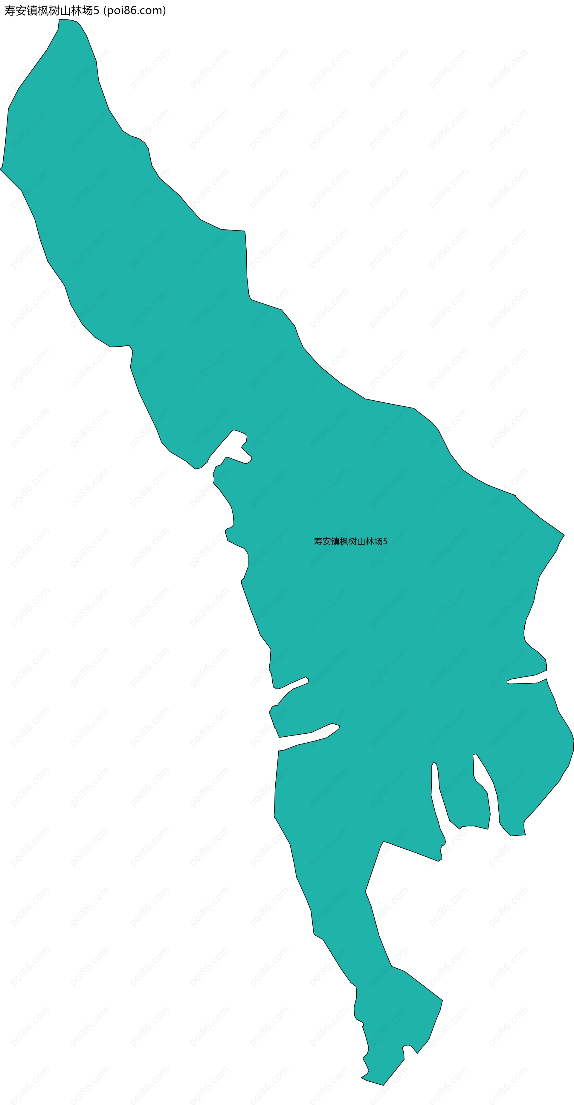 寿安镇枫树山林场5边界地图