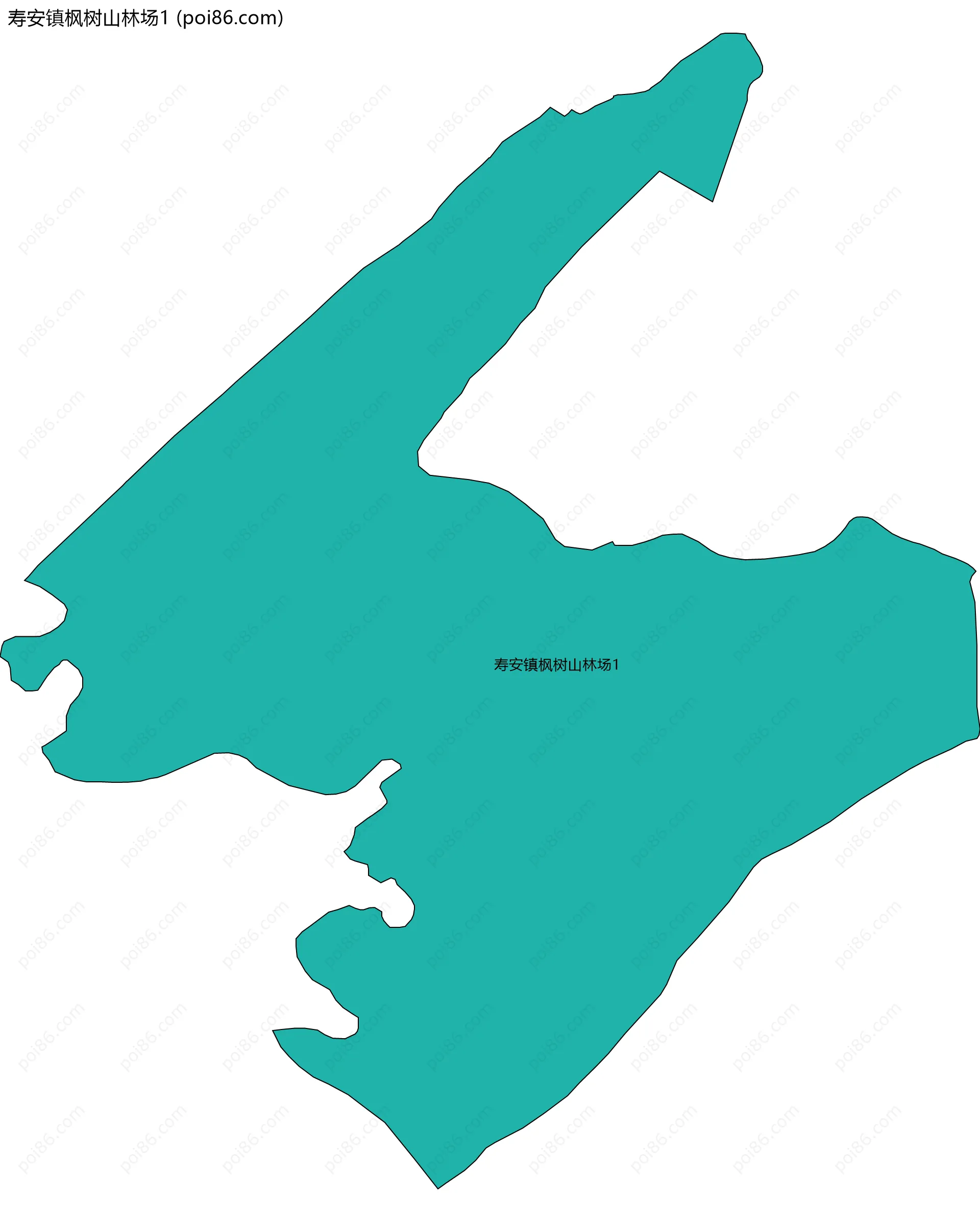 寿安镇枫树山林场1边界地图