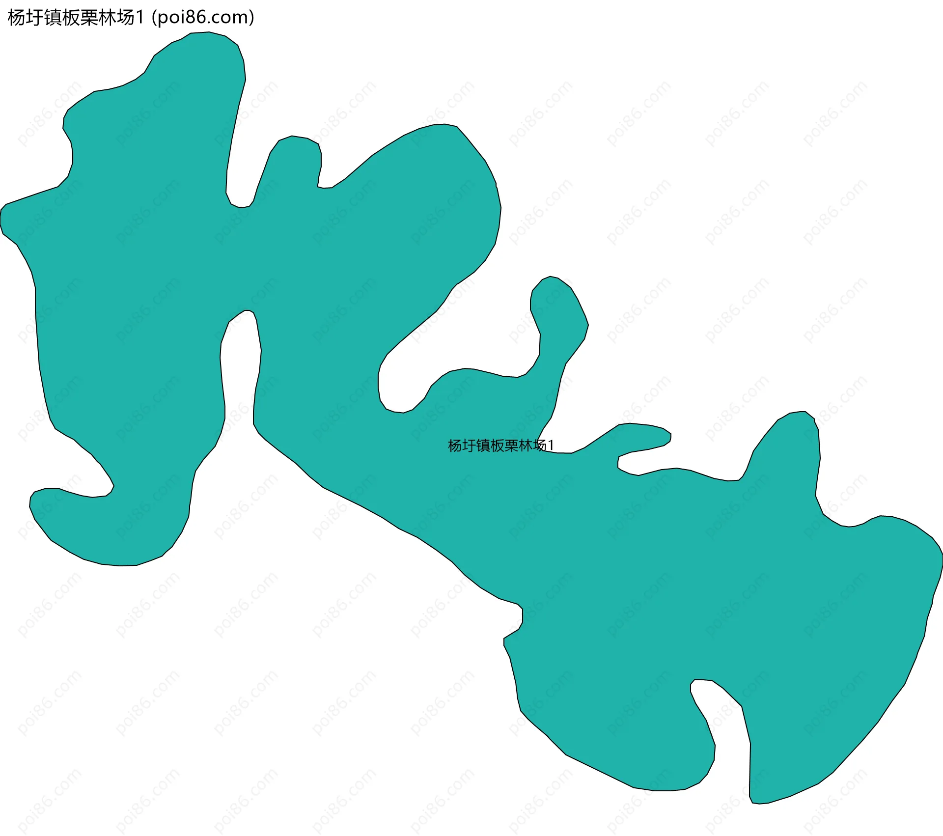 杨圩镇板栗林场1边界地图