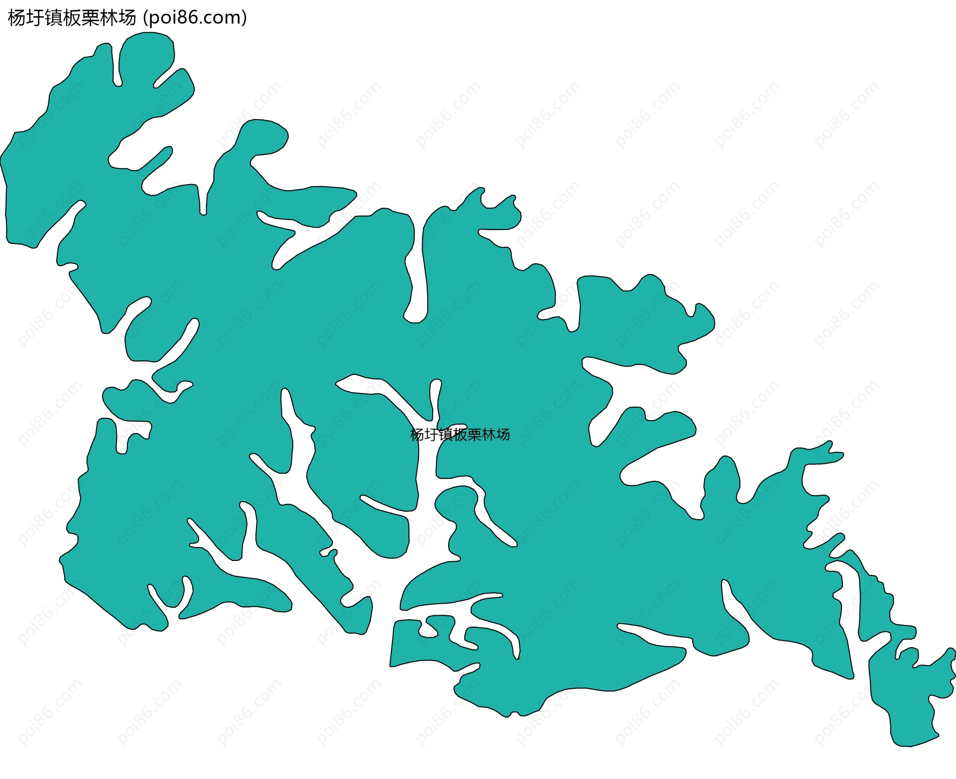 杨圩镇板栗林场边界地图