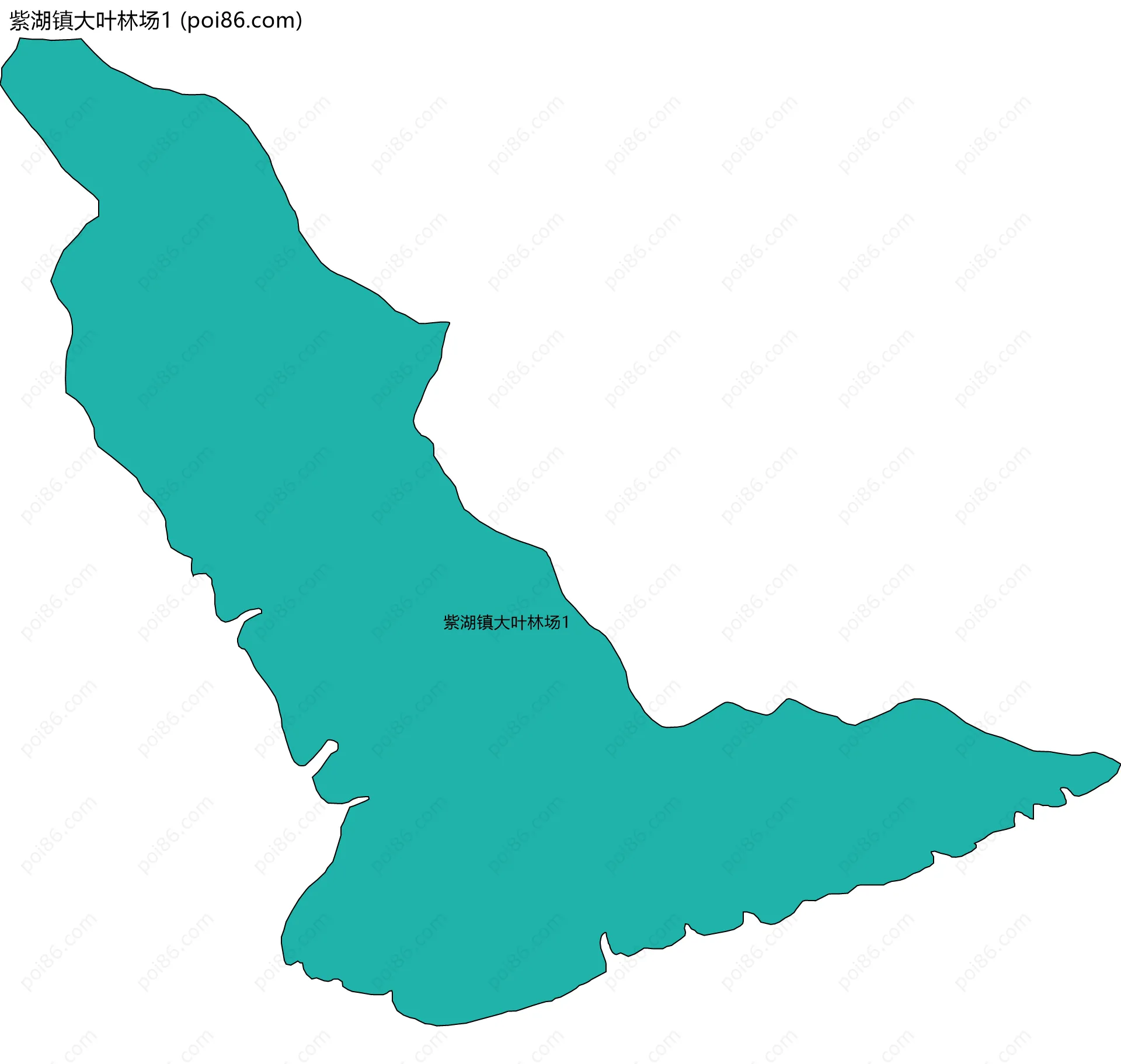 紫湖镇大叶林场1边界地图