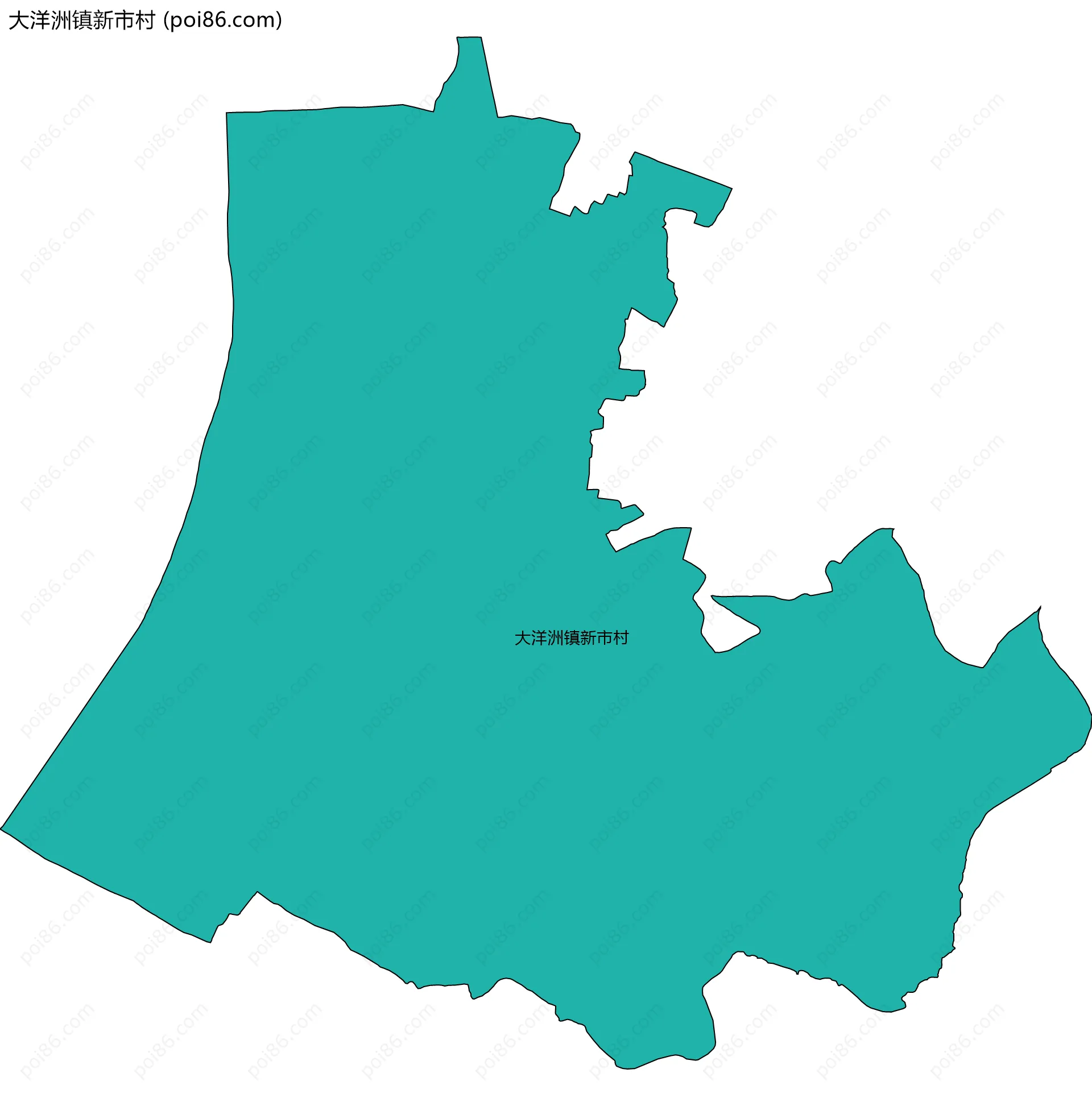 大洋洲镇新市村边界地图