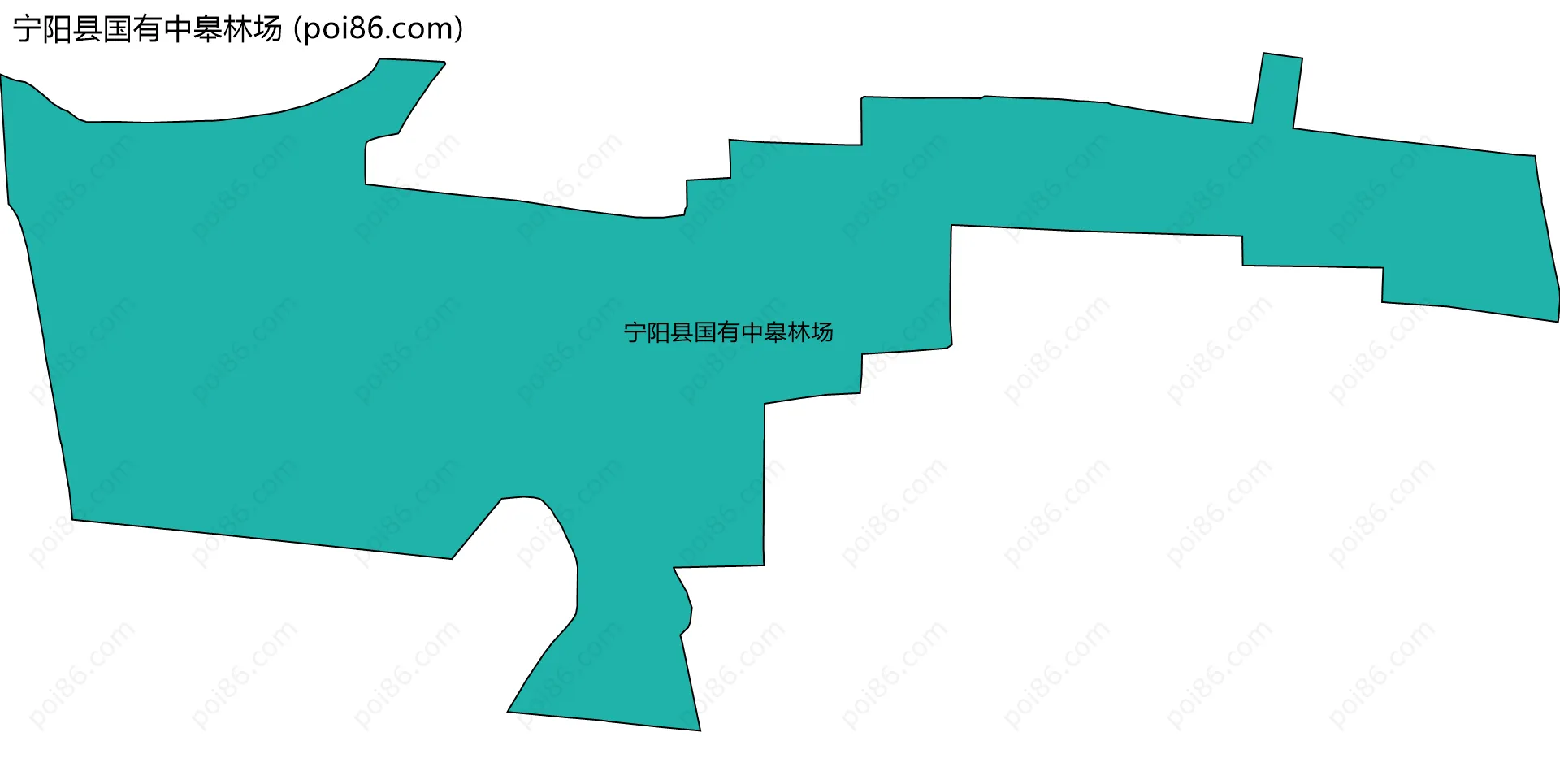 宁阳县国有中皋林场边界地图