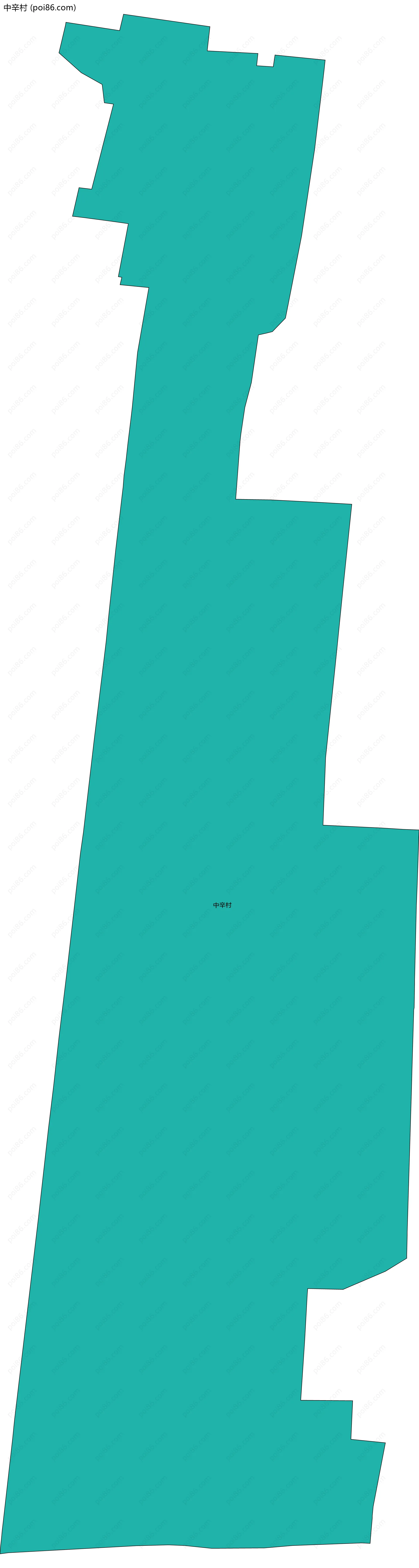 中辛村边界地图