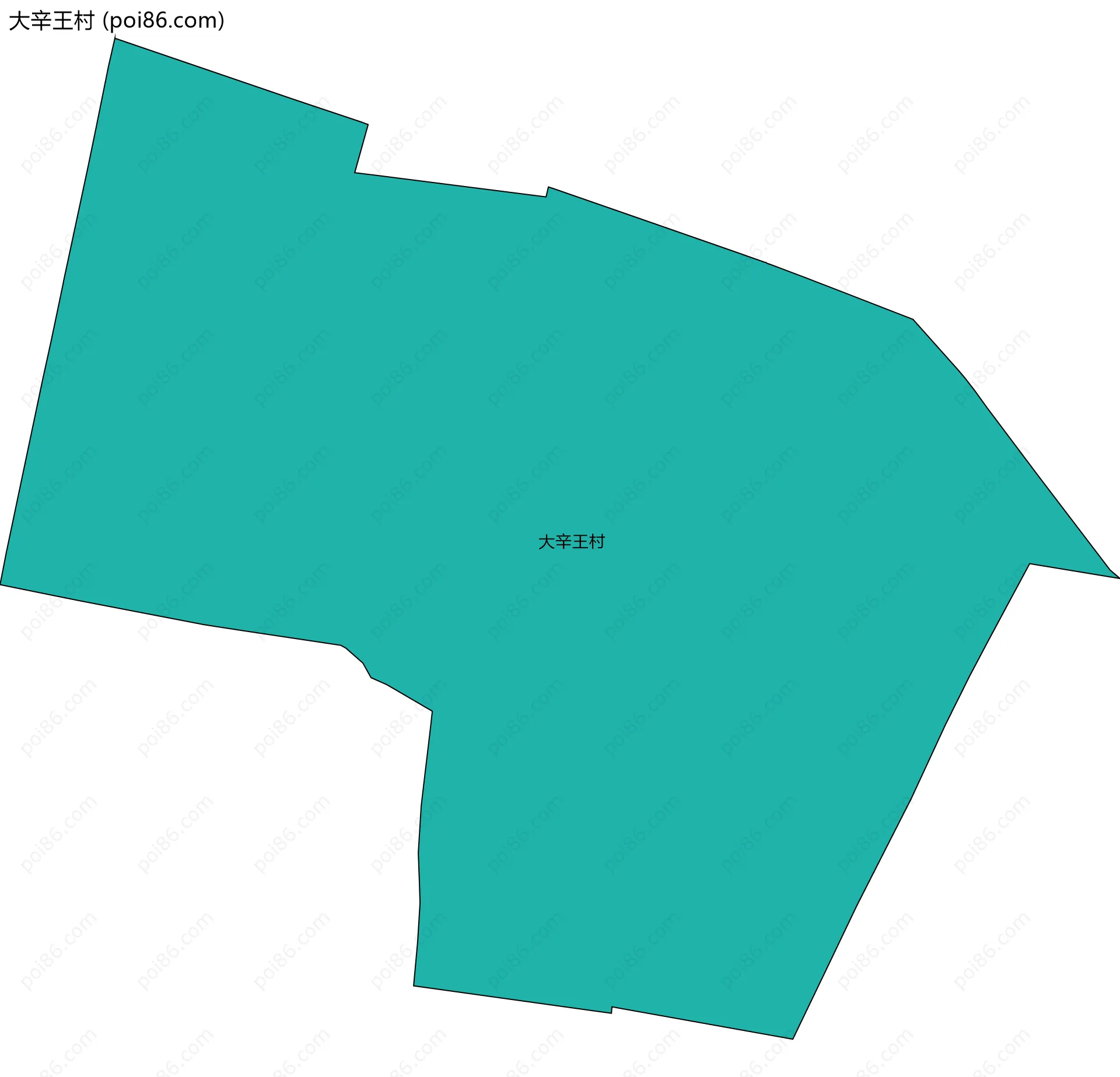 大辛王村边界地图