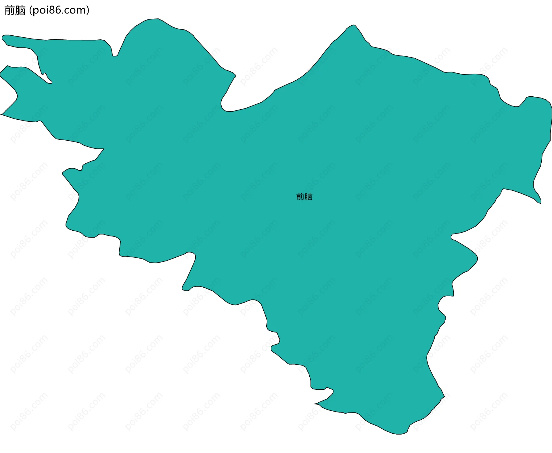 前脑边界地图