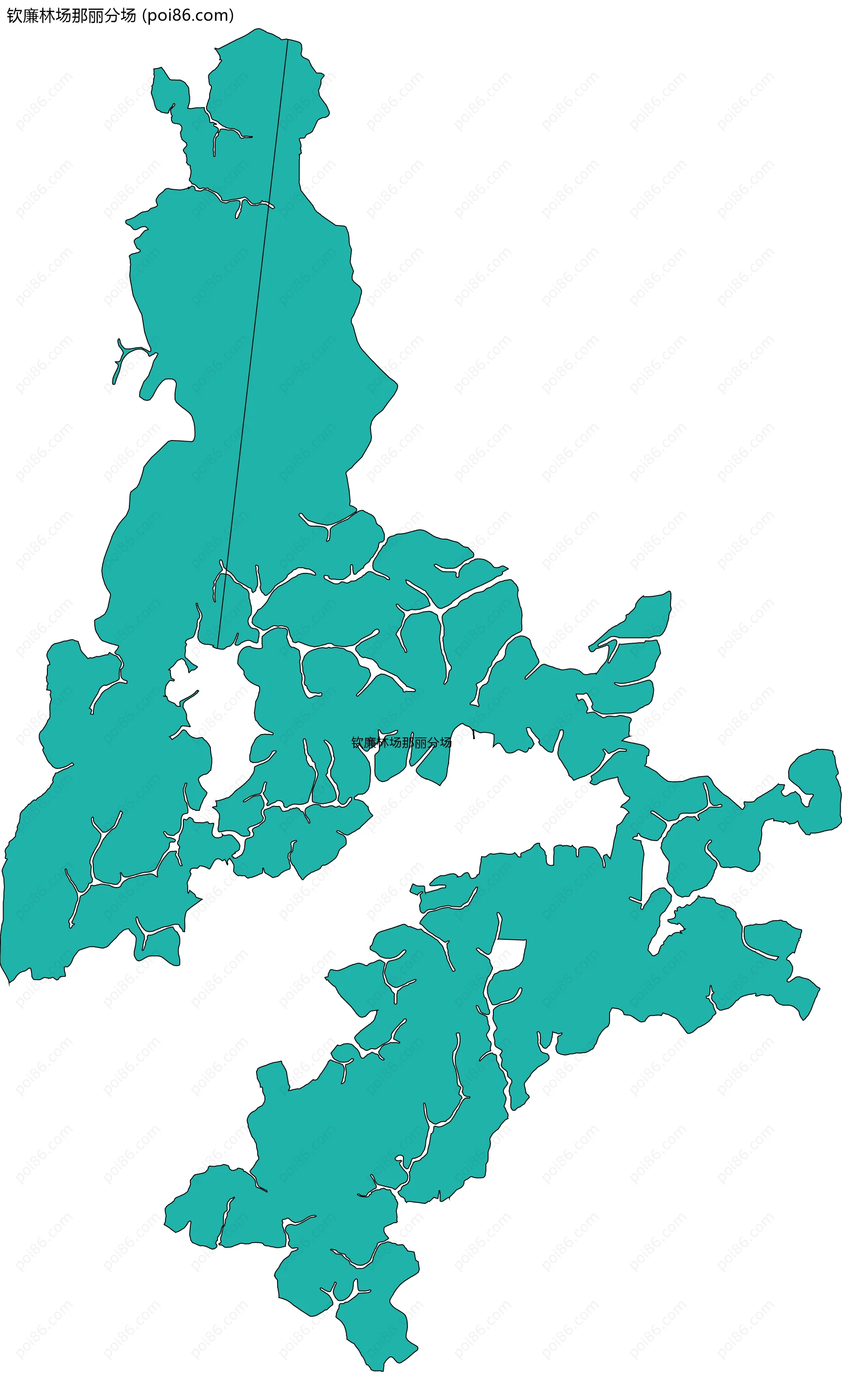 钦廉林场那丽分场边界地图