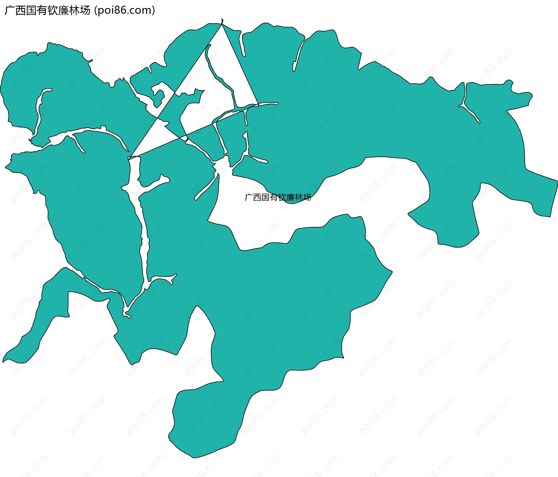 广西国有钦廉林场边界地图