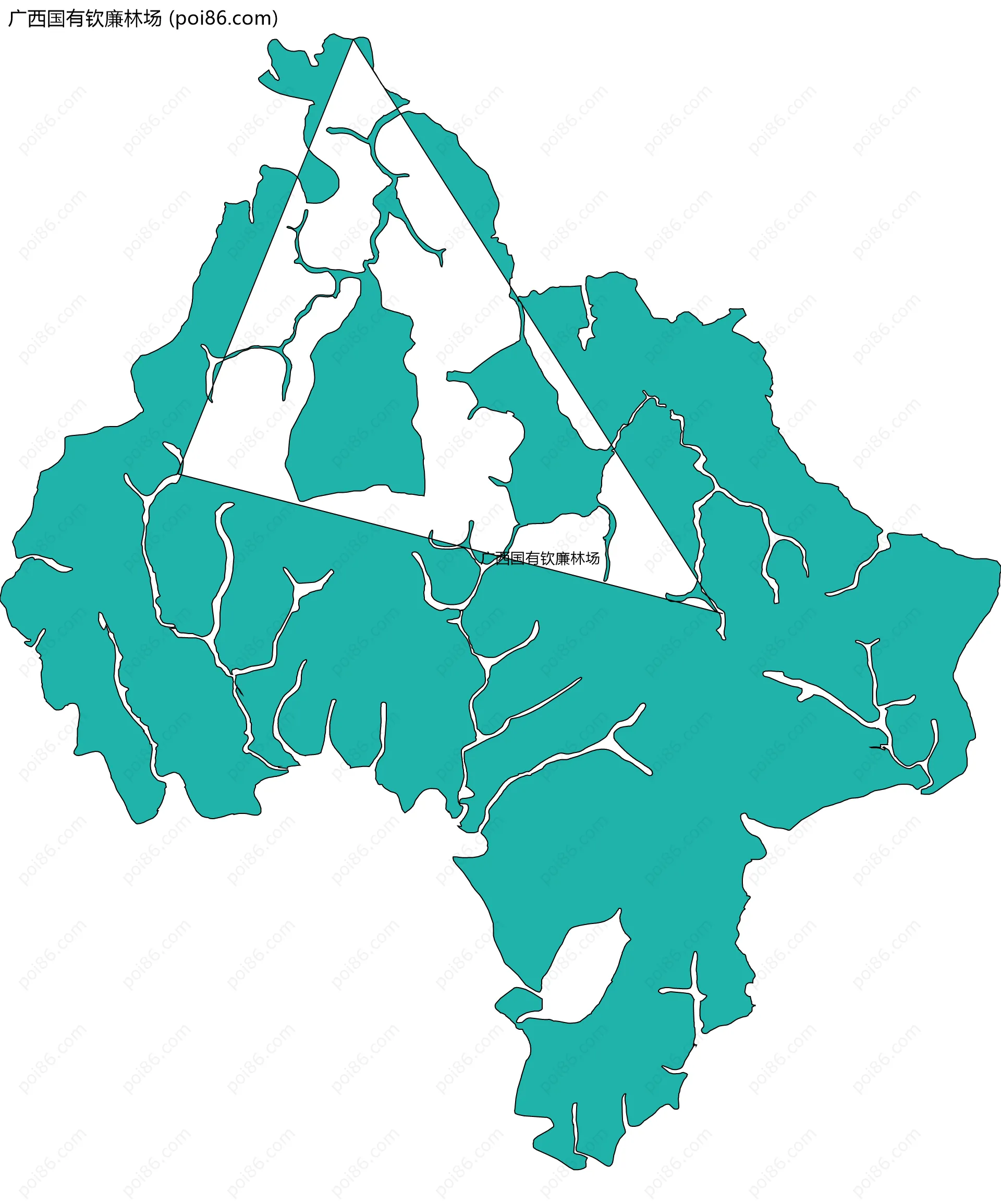 广西国有钦廉林场边界地图
