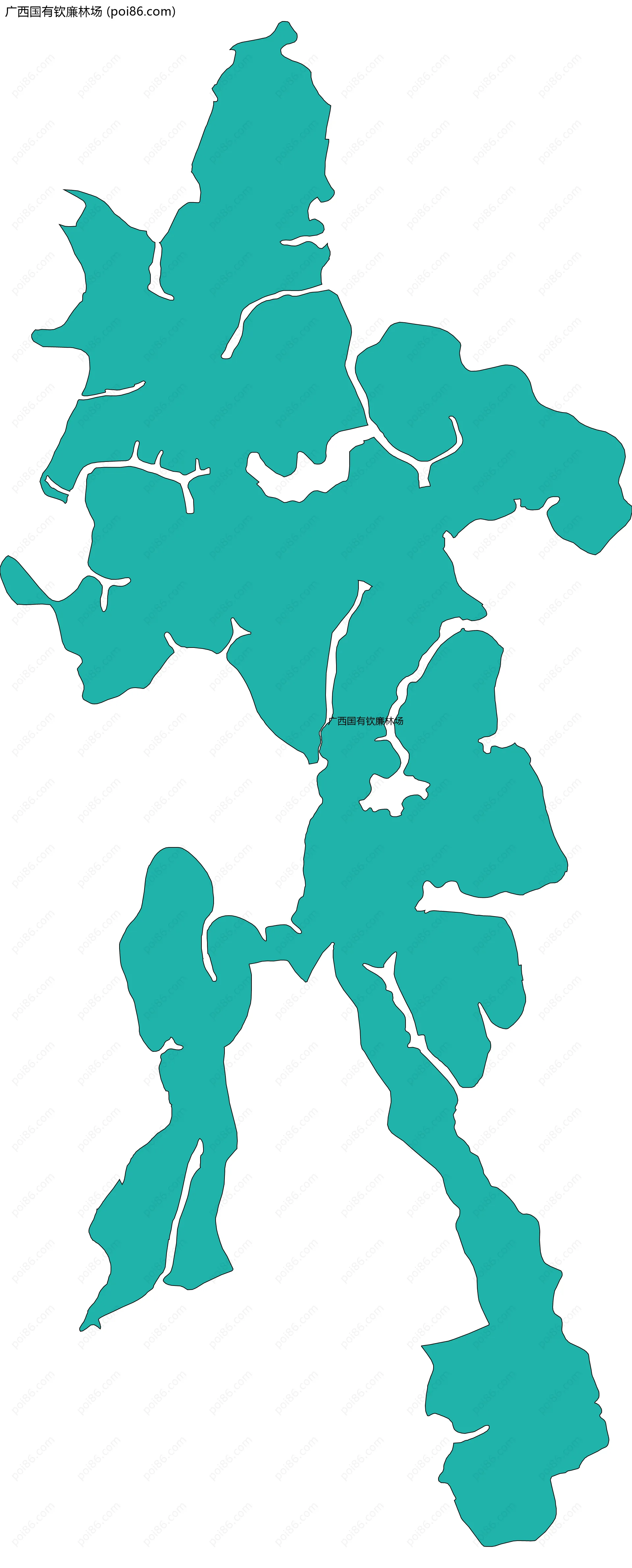 广西国有钦廉林场边界地图