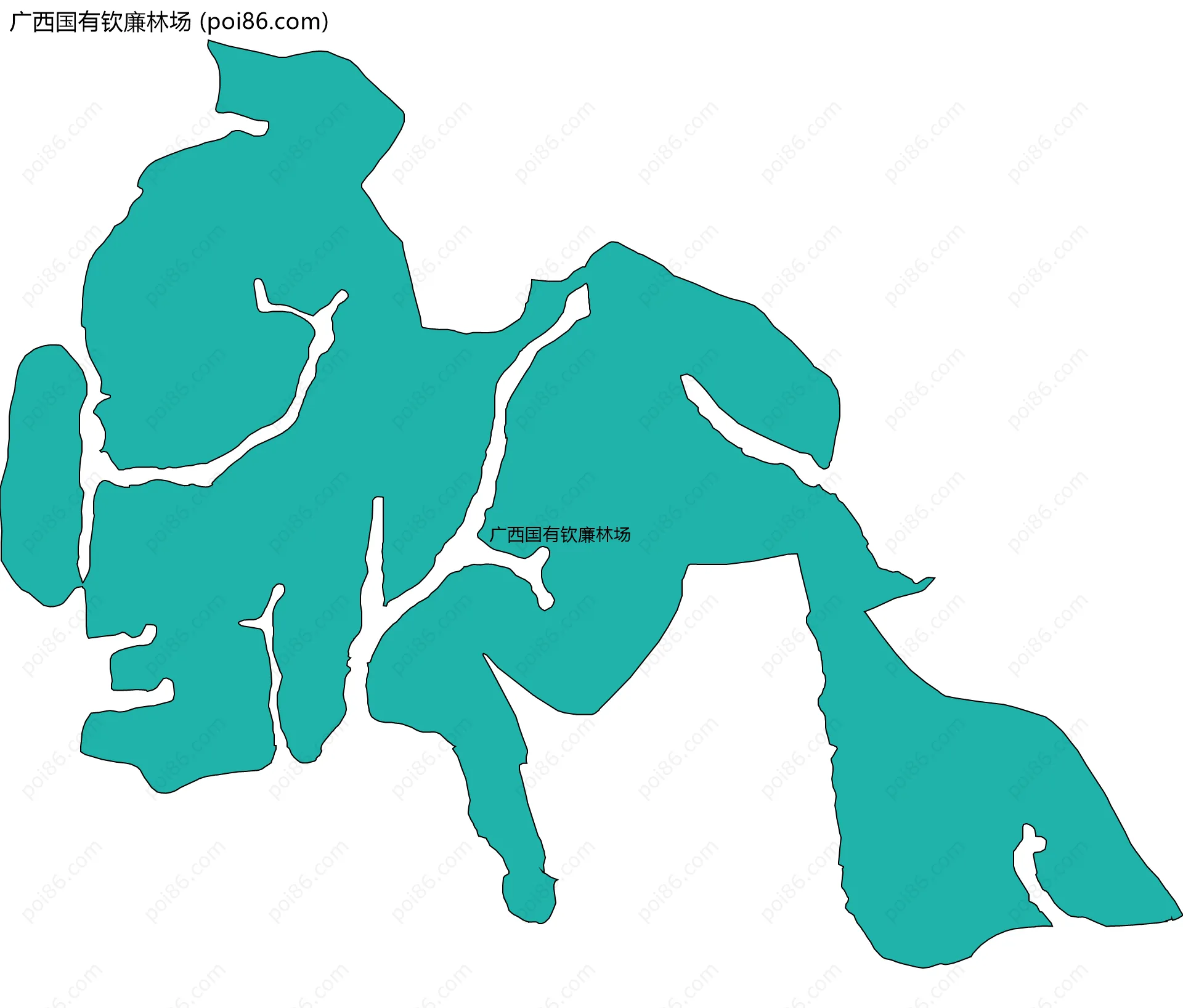 广西国有钦廉林场边界地图
