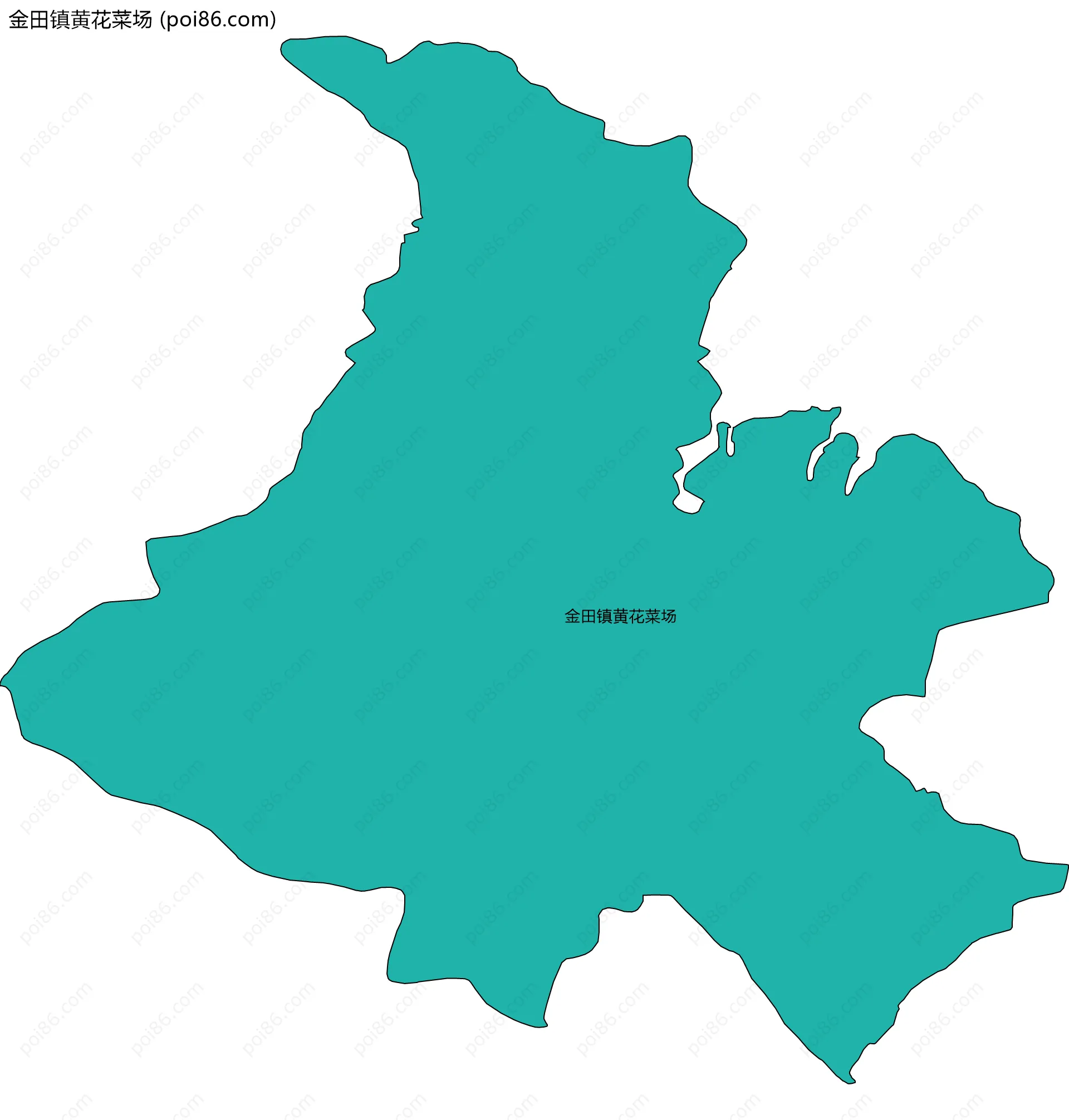 金田镇黄花菜场边界地图