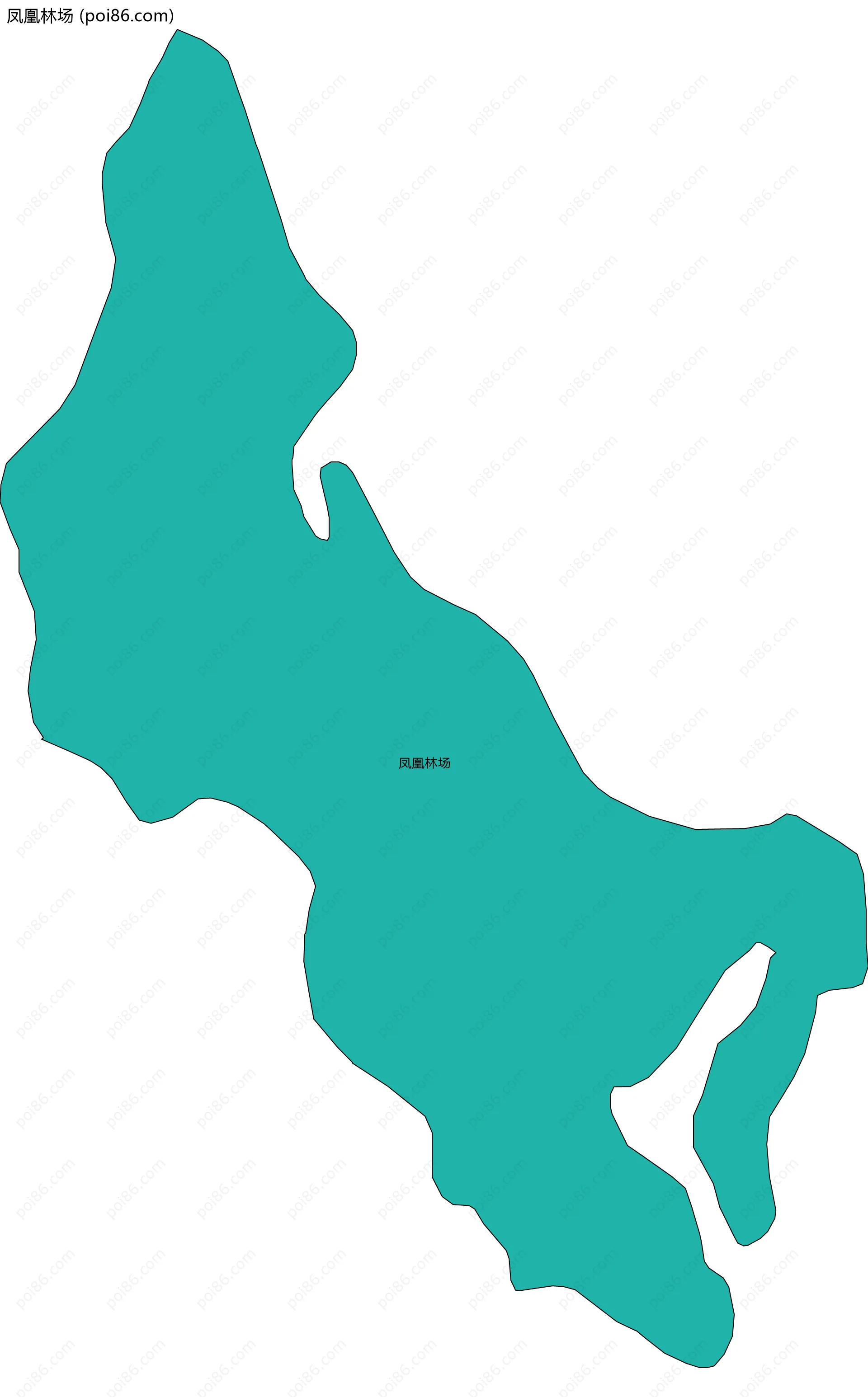 凤凰林场边界地图