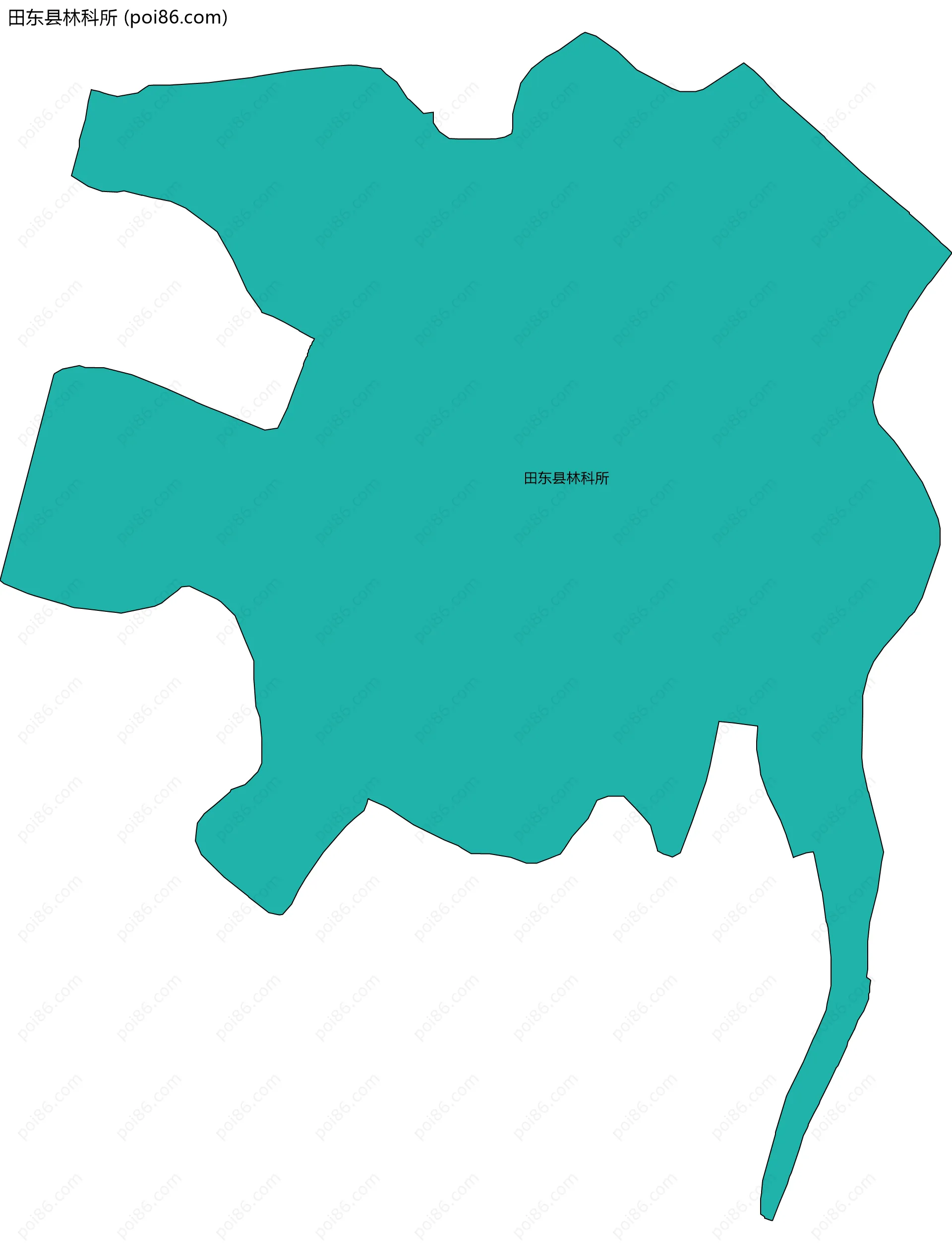 田东县林科所边界地图