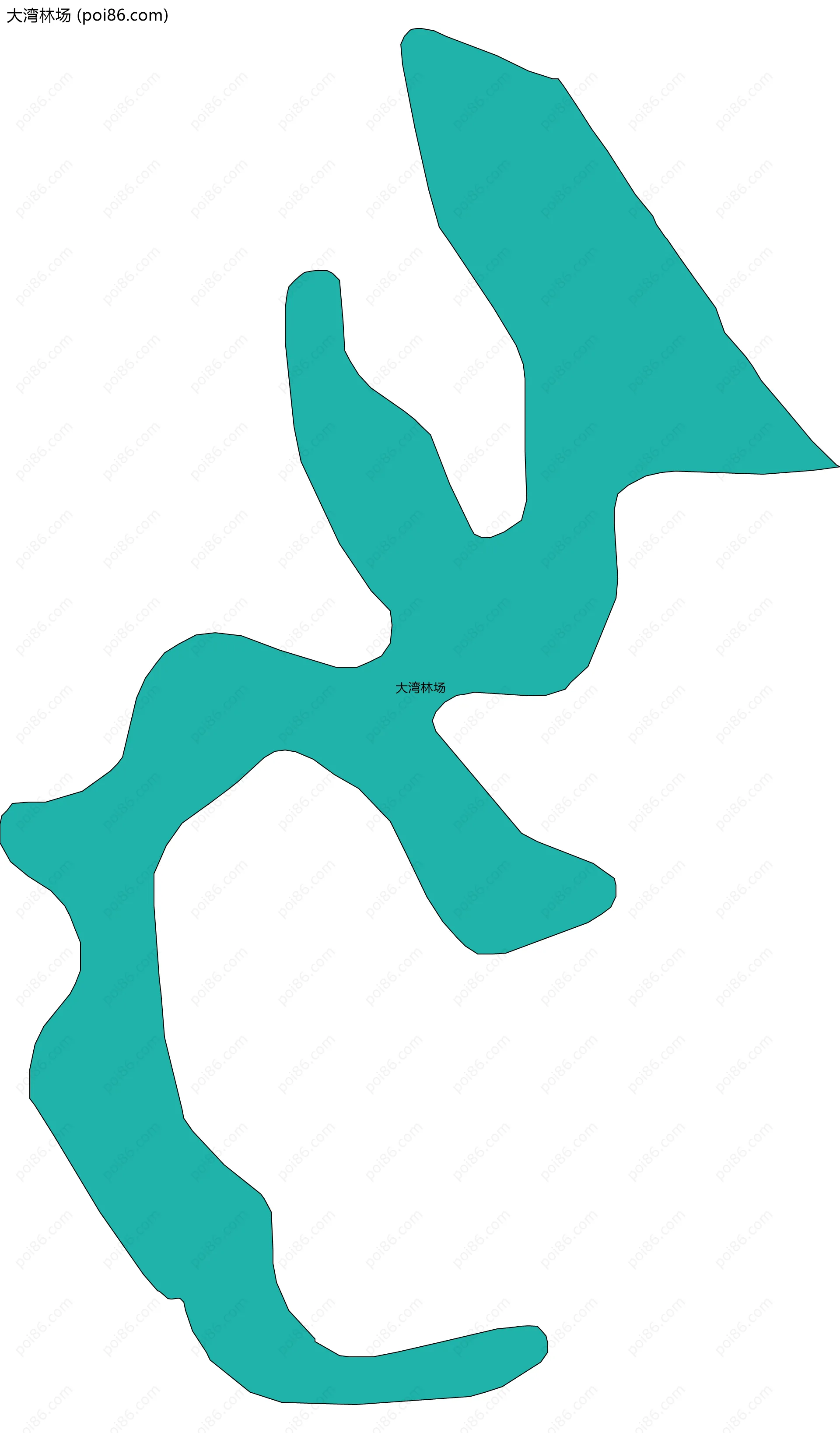 大湾林场边界地图