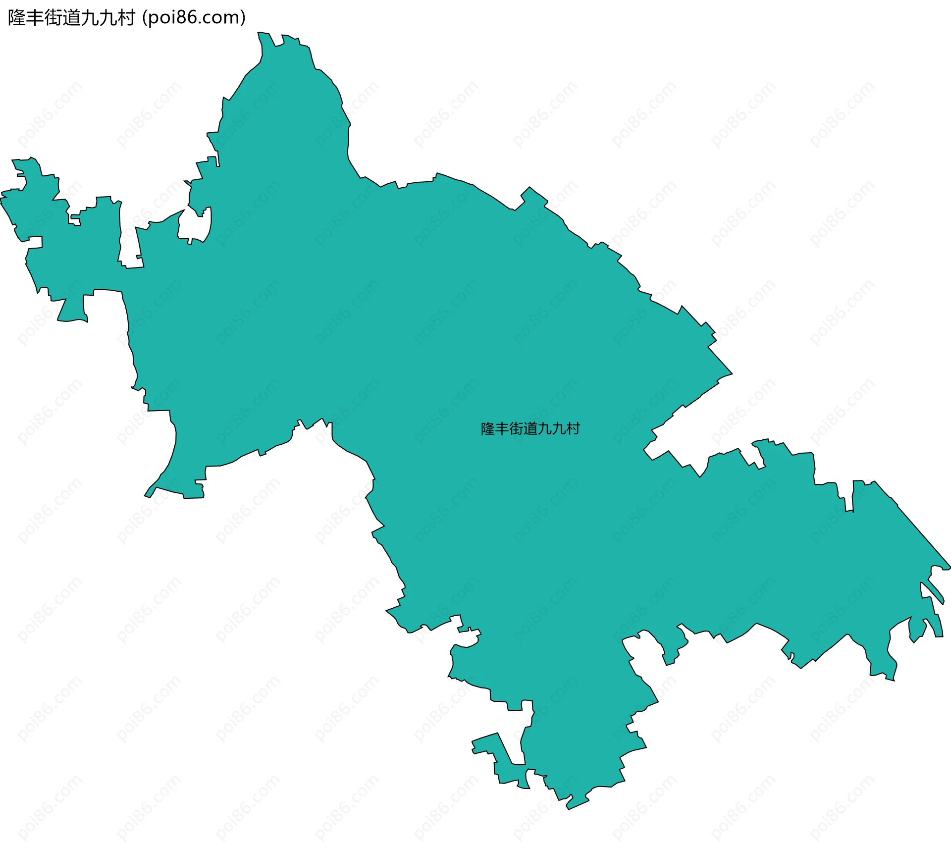 隆丰街道九九村边界地图