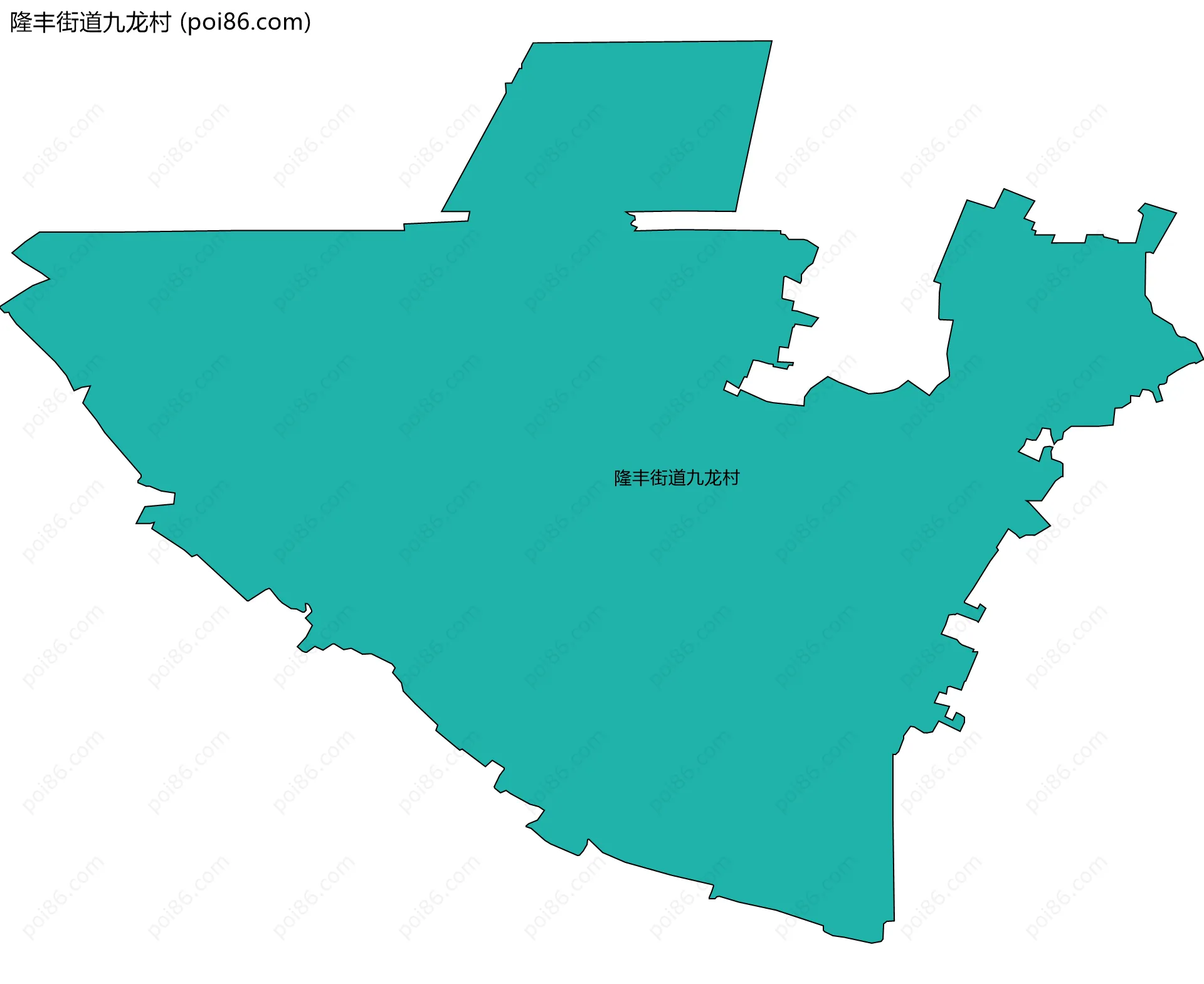 隆丰街道九龙村边界地图