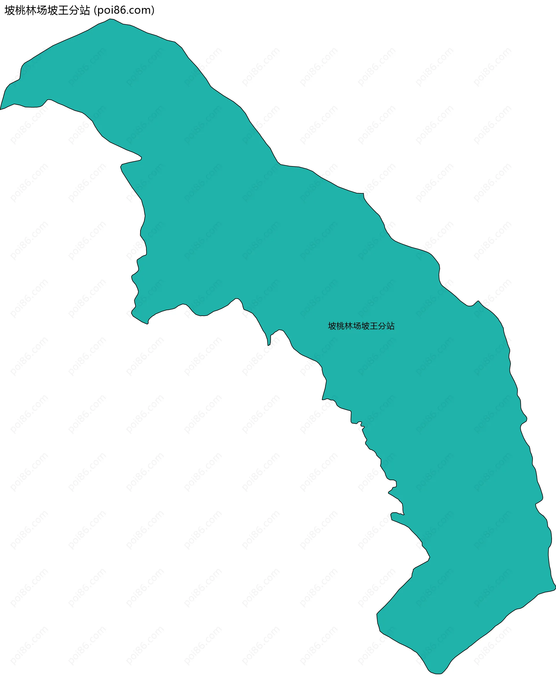 坡桃林场坡王分站边界地图