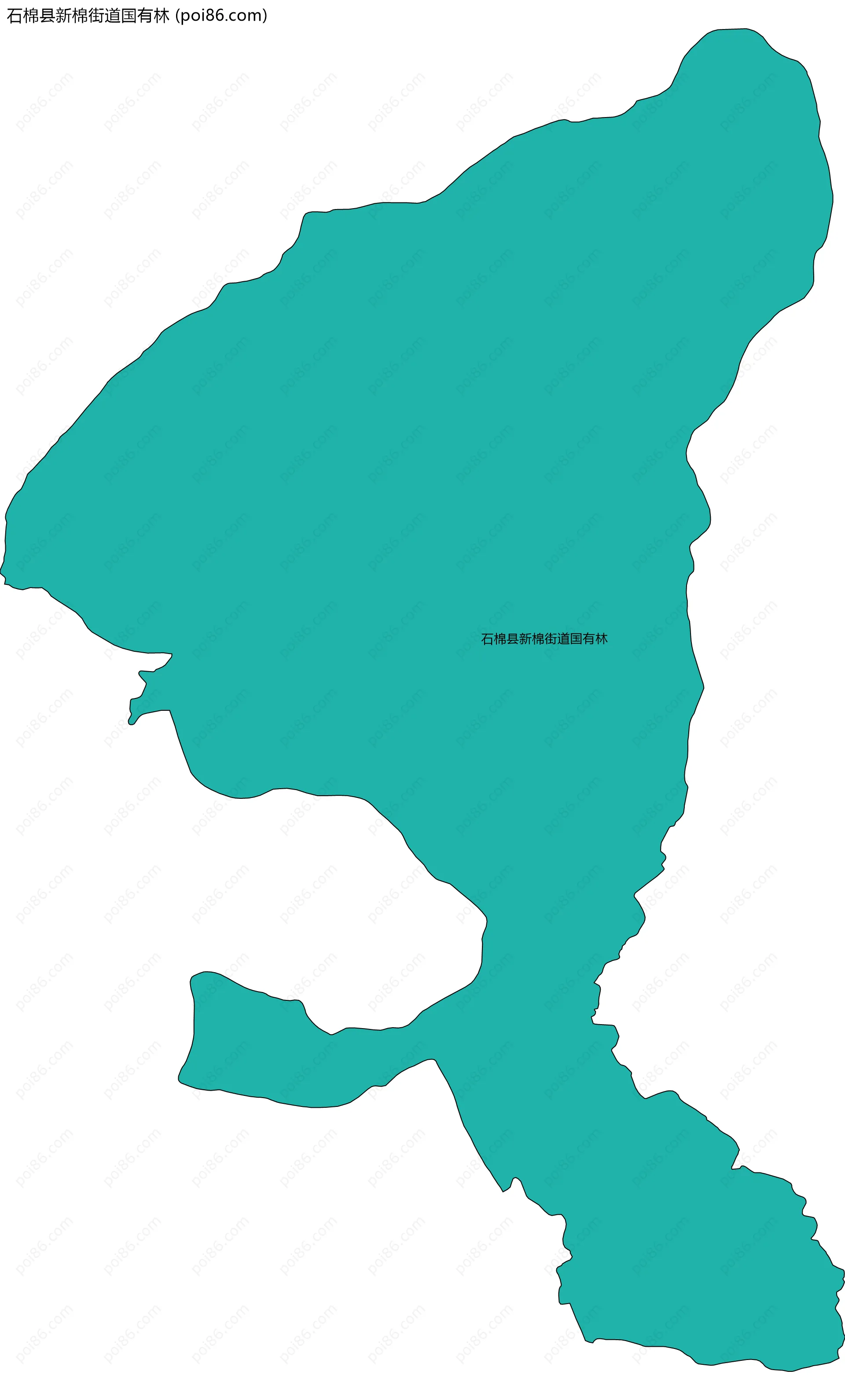 石棉县新棉街道国有林边界地图