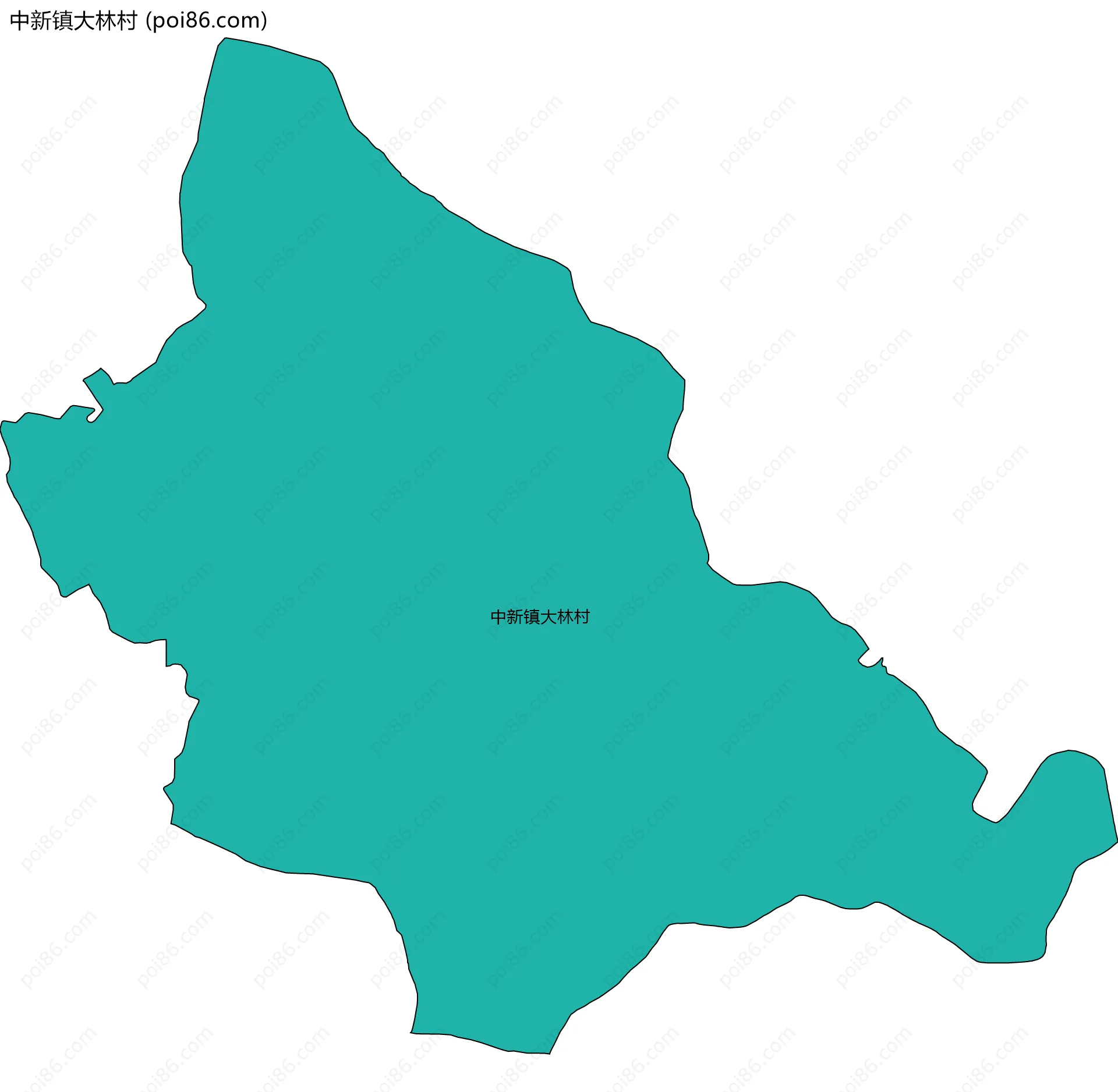 中新镇大林村边界地图