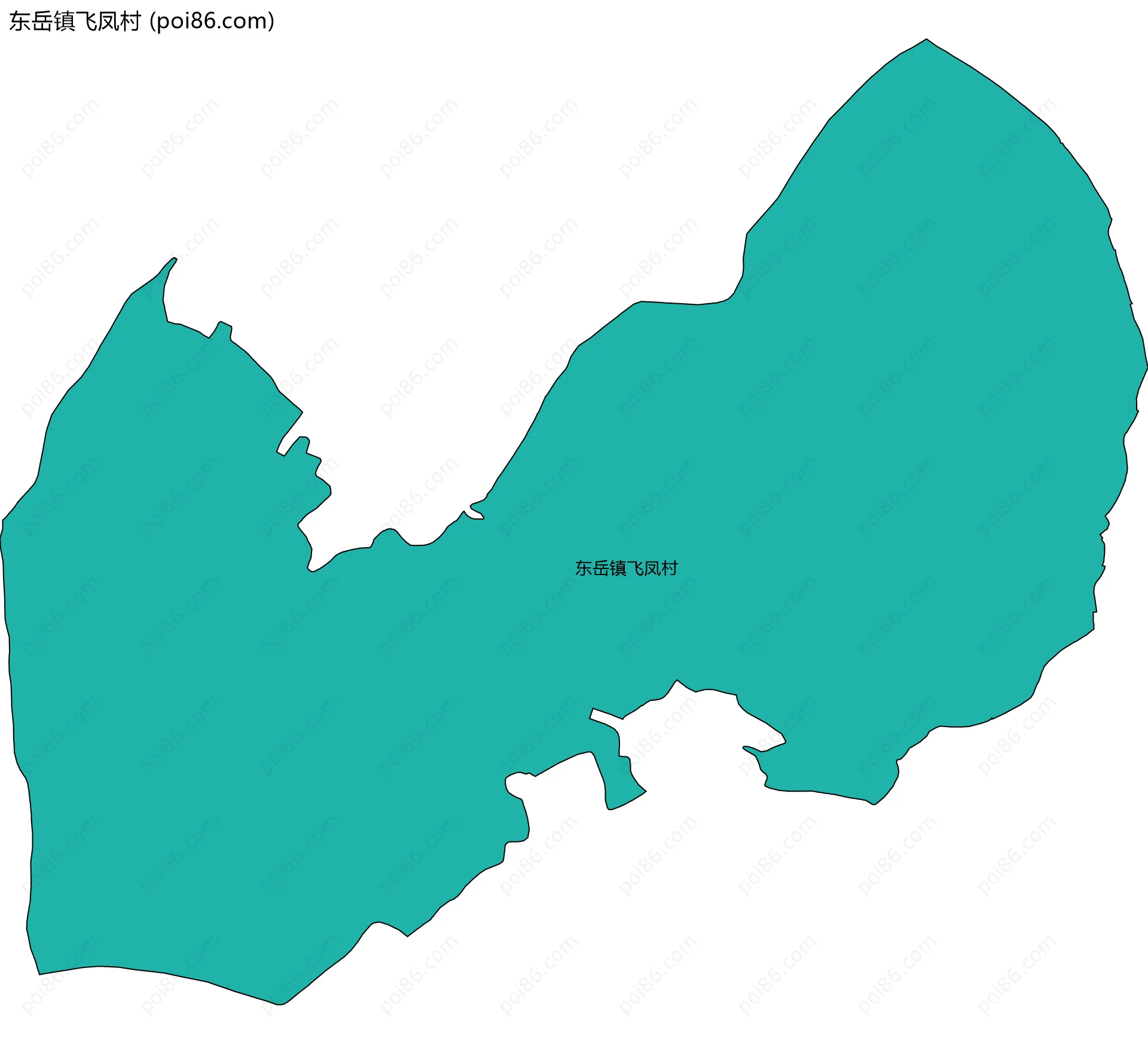 东岳镇飞凤村边界地图