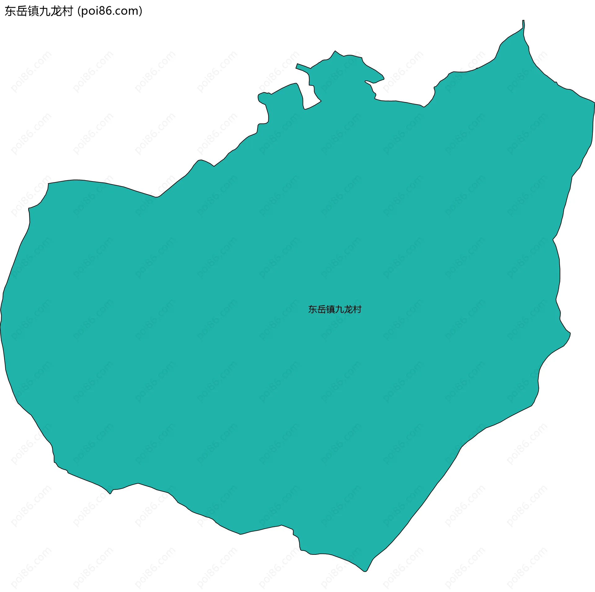 东岳镇九龙村边界地图