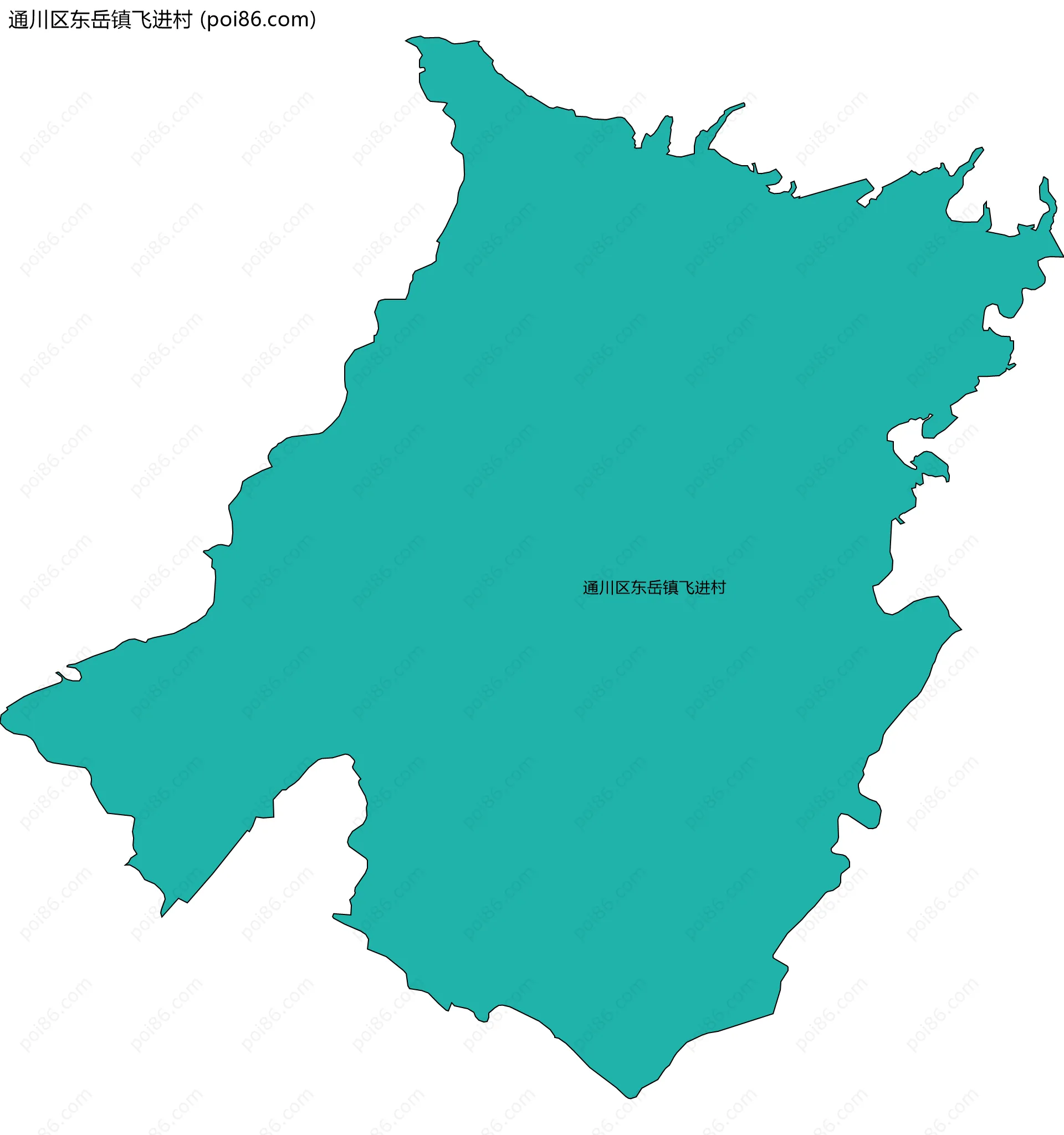 通川区东岳镇飞进村边界地图