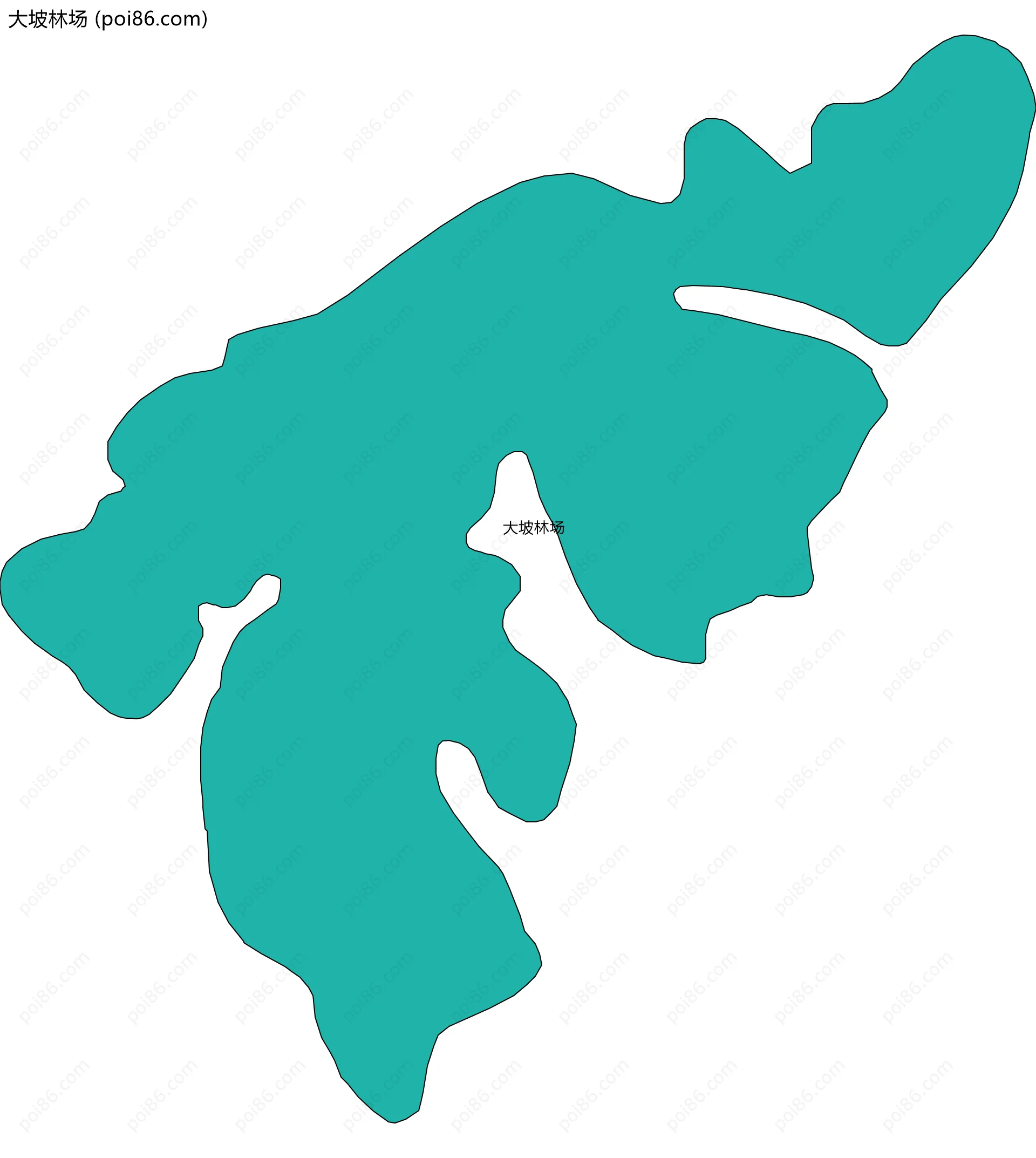 大坡林场边界地图