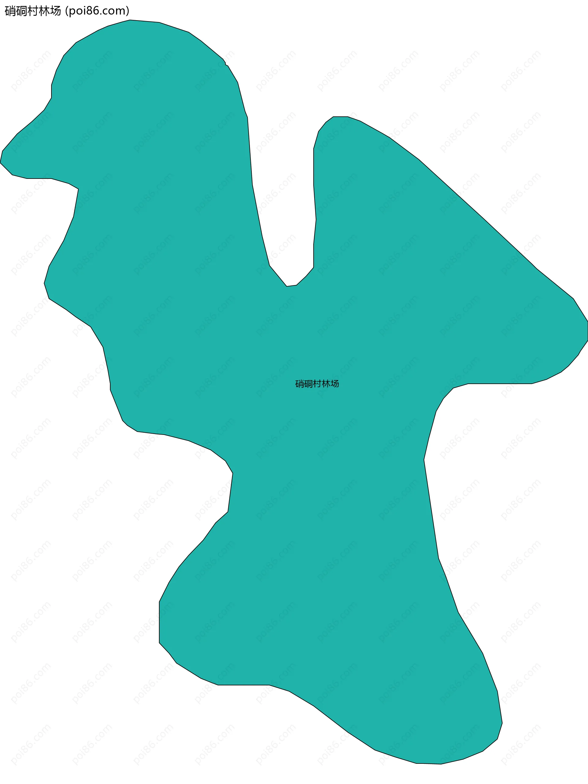 硝硐村林场边界地图