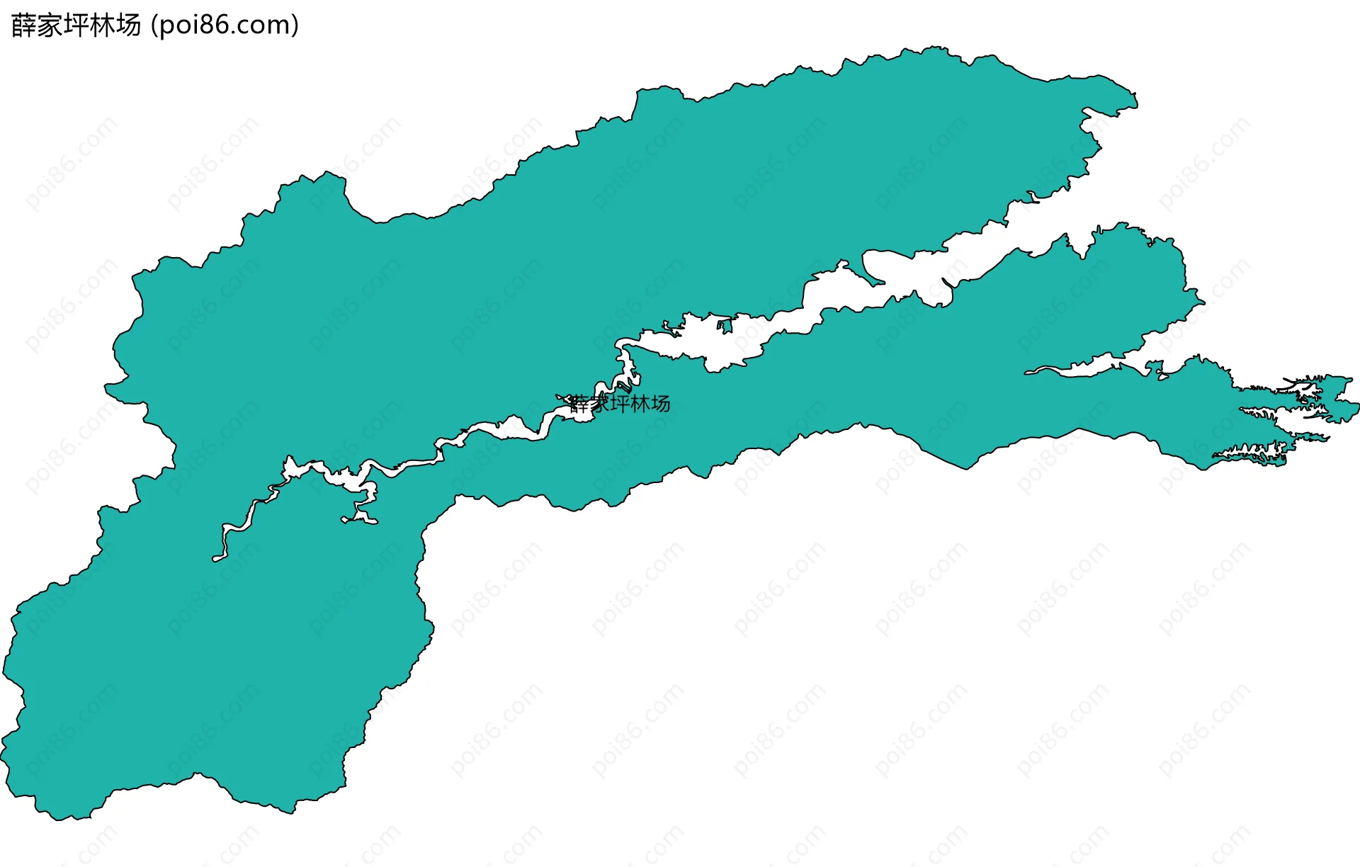 薛家坪林场边界地图