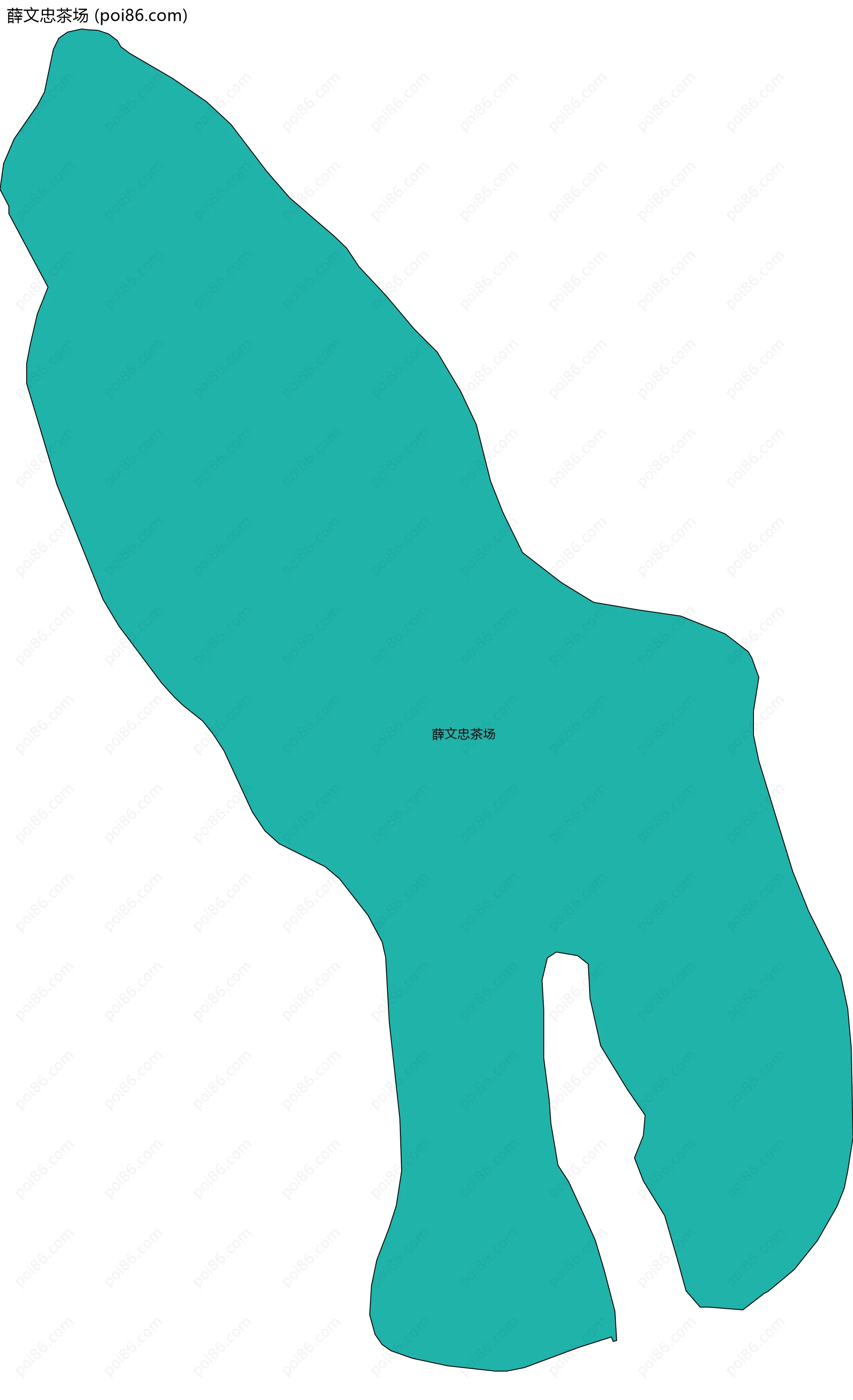 薛文忠茶场边界地图