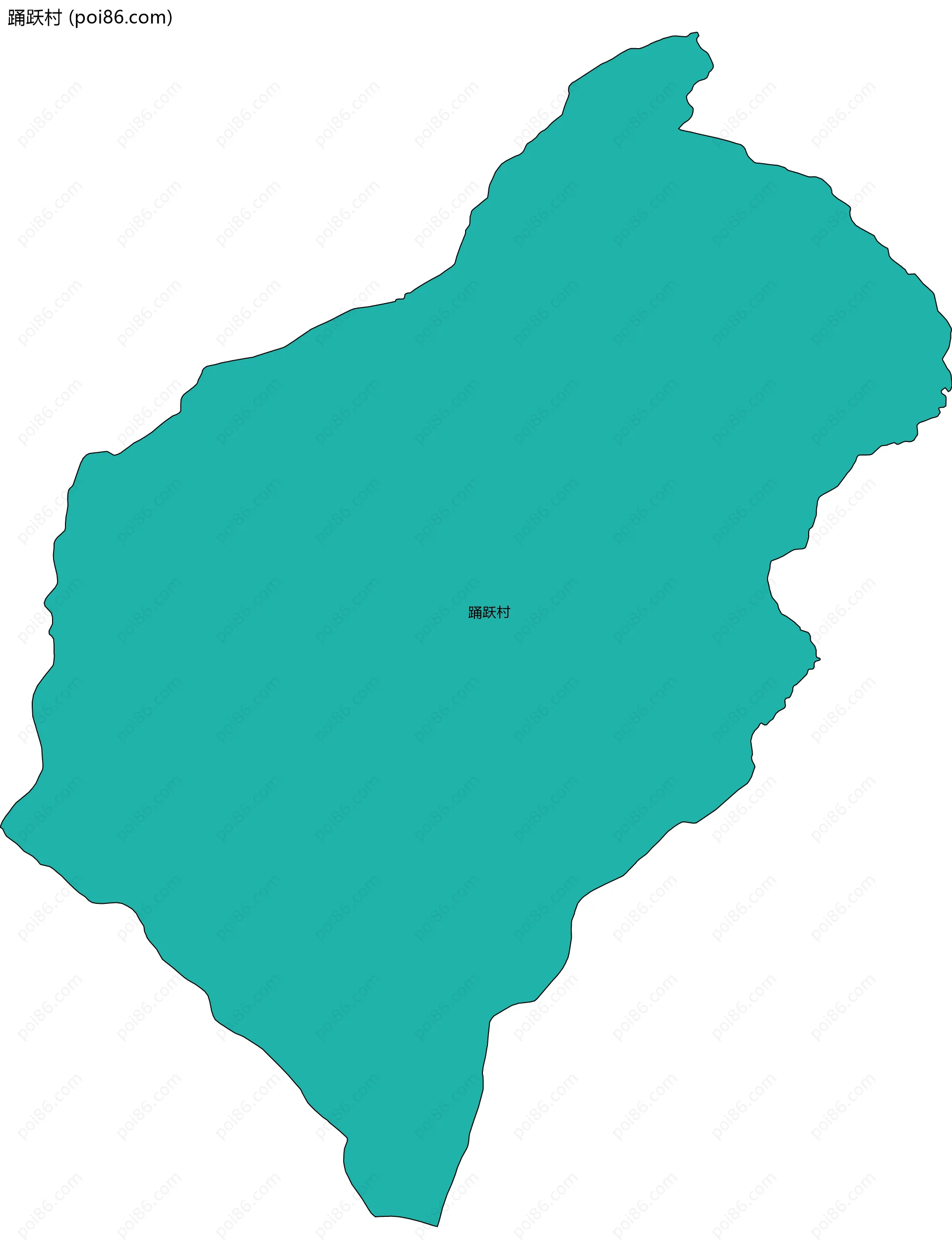 踊跃村边界地图