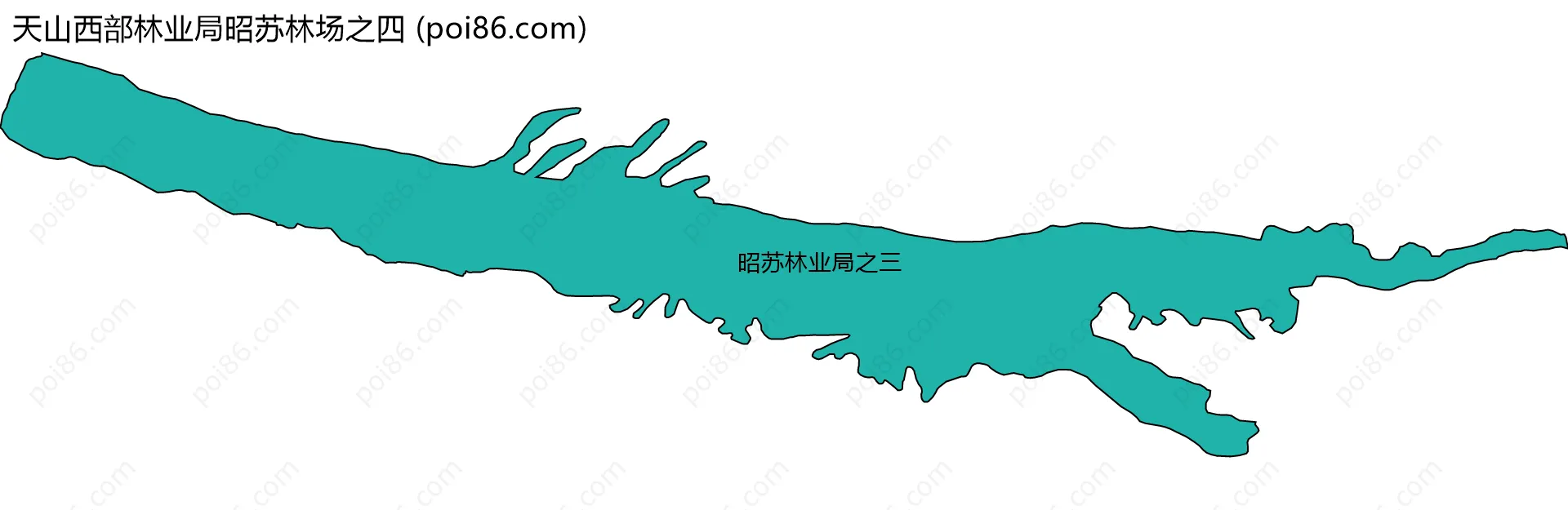 天山西部林业局昭苏林场之四边界地图(五级行政区划)
