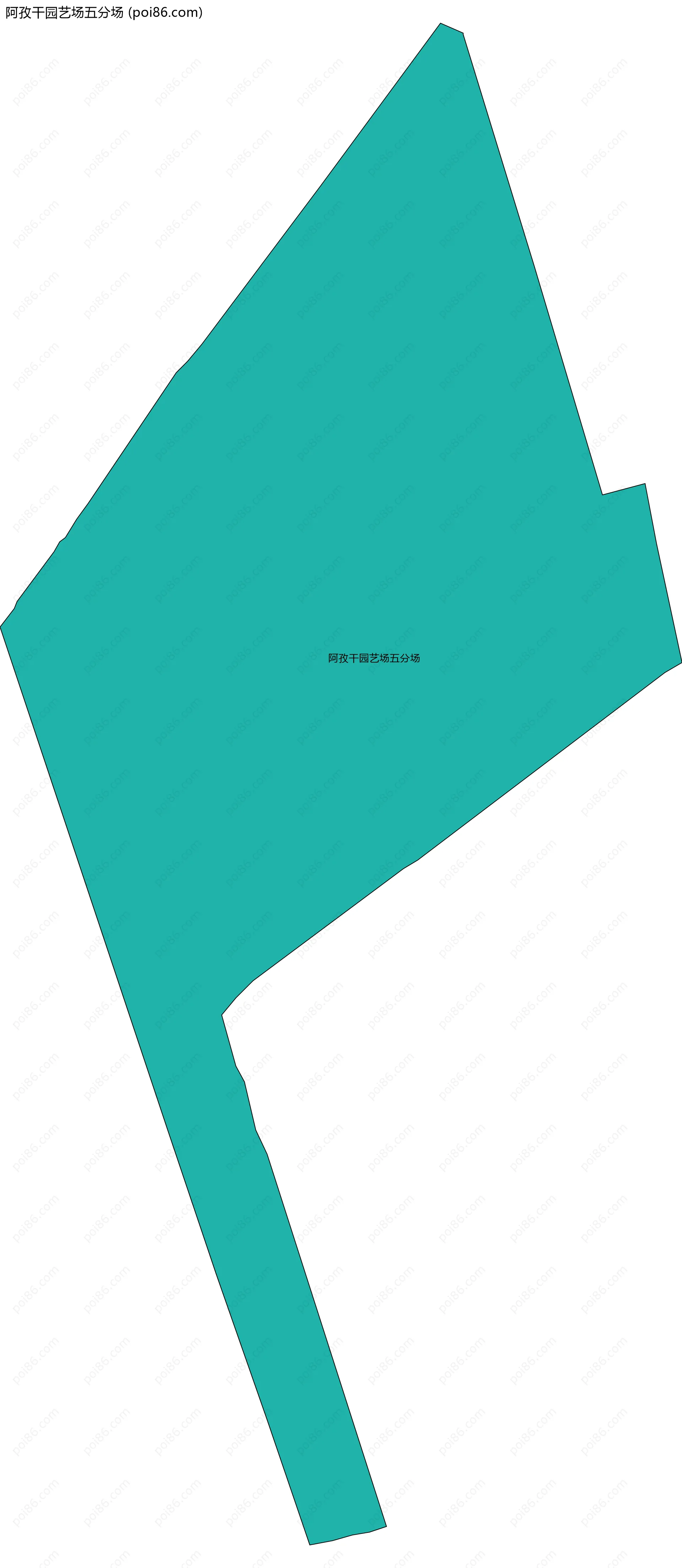 阿孜干园艺场五分场边界地图