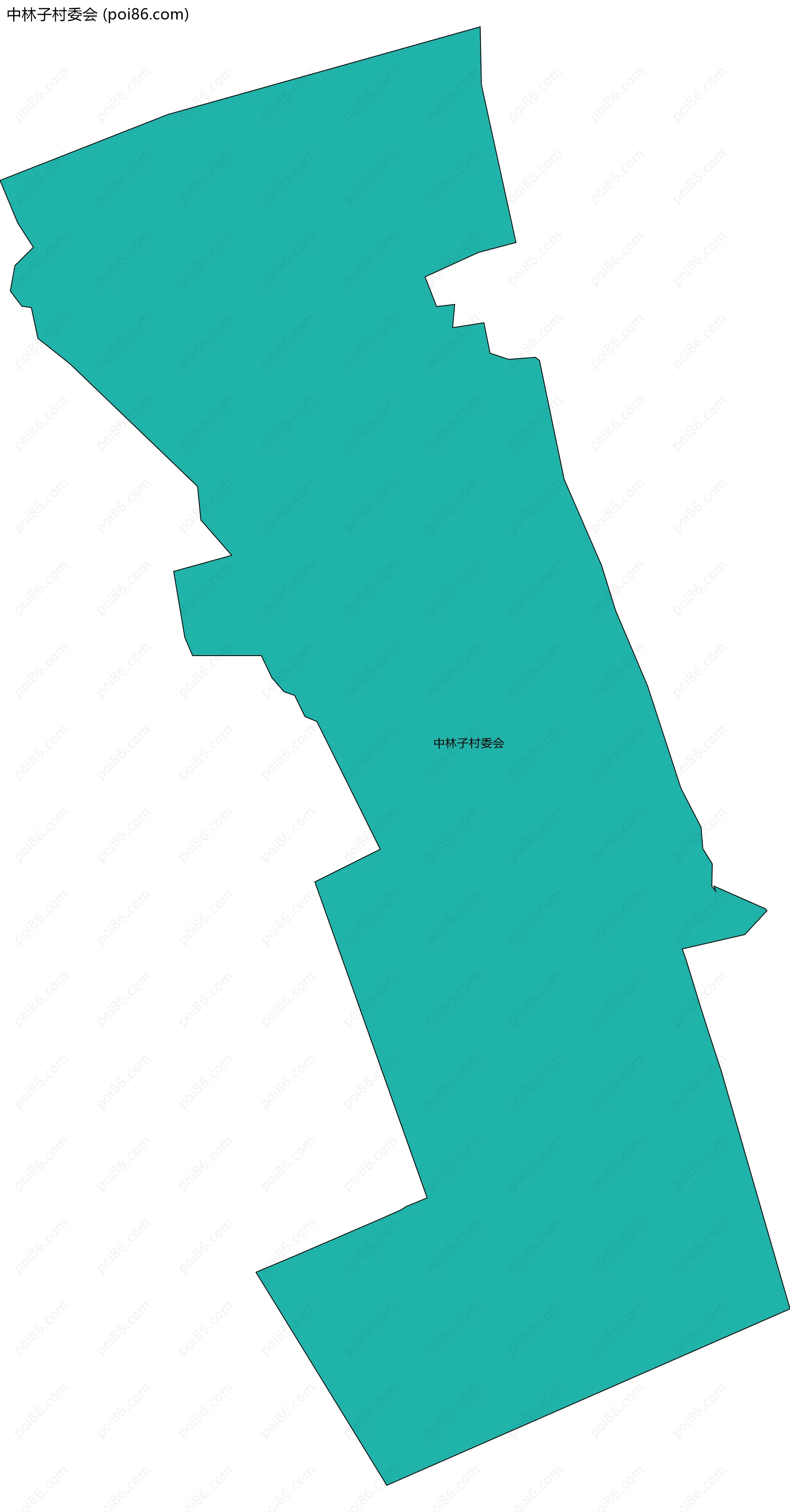 中林子村委会边界地图